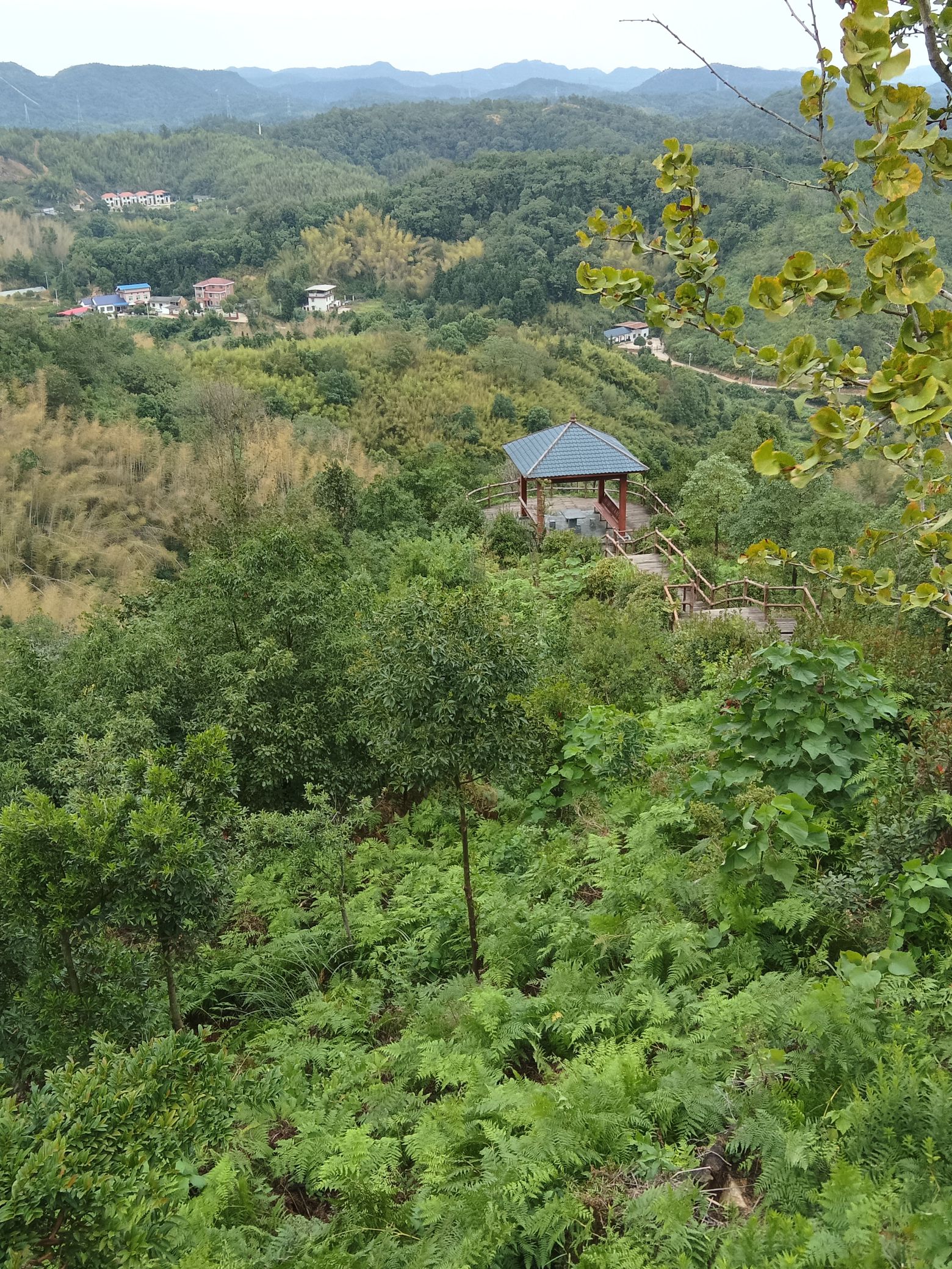 九郎山森林公园旅行图片 2