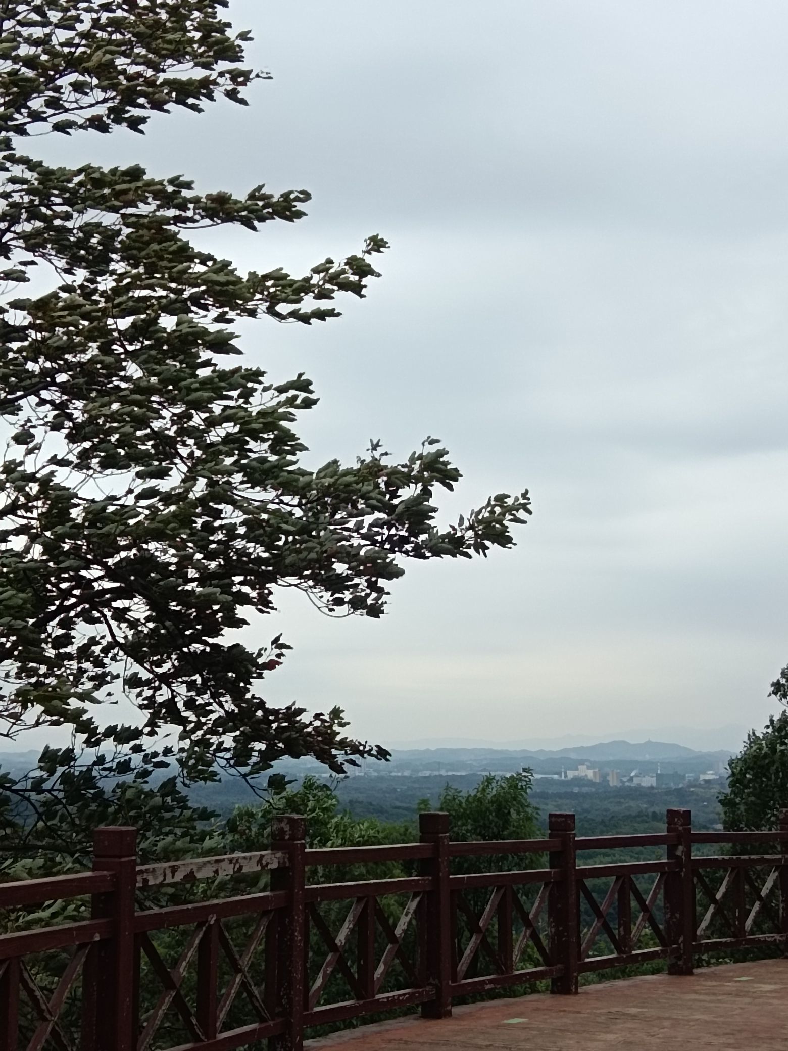 九郎山森林公园旅行图片 1