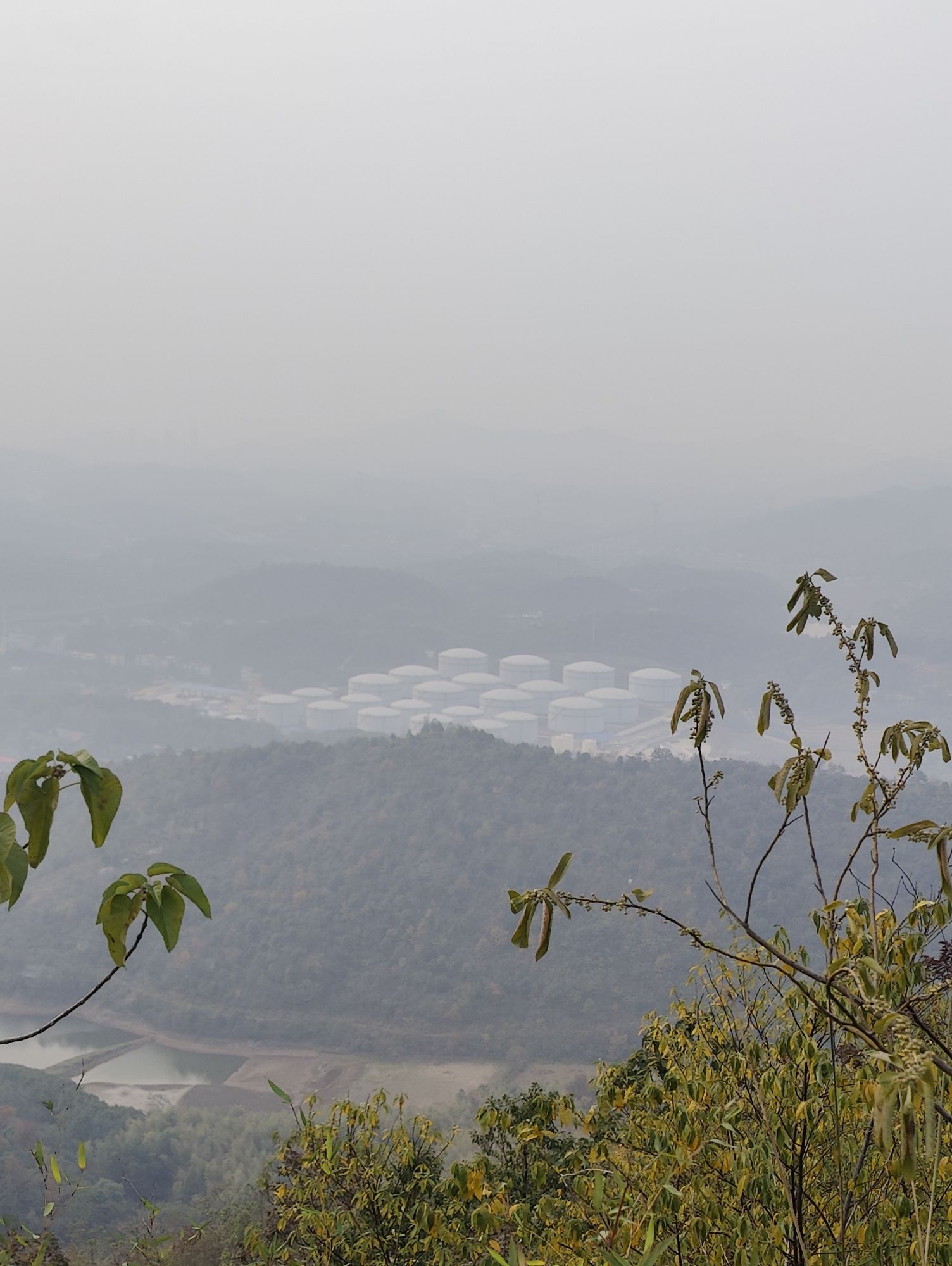 九郎山森林公园旅行图片 1