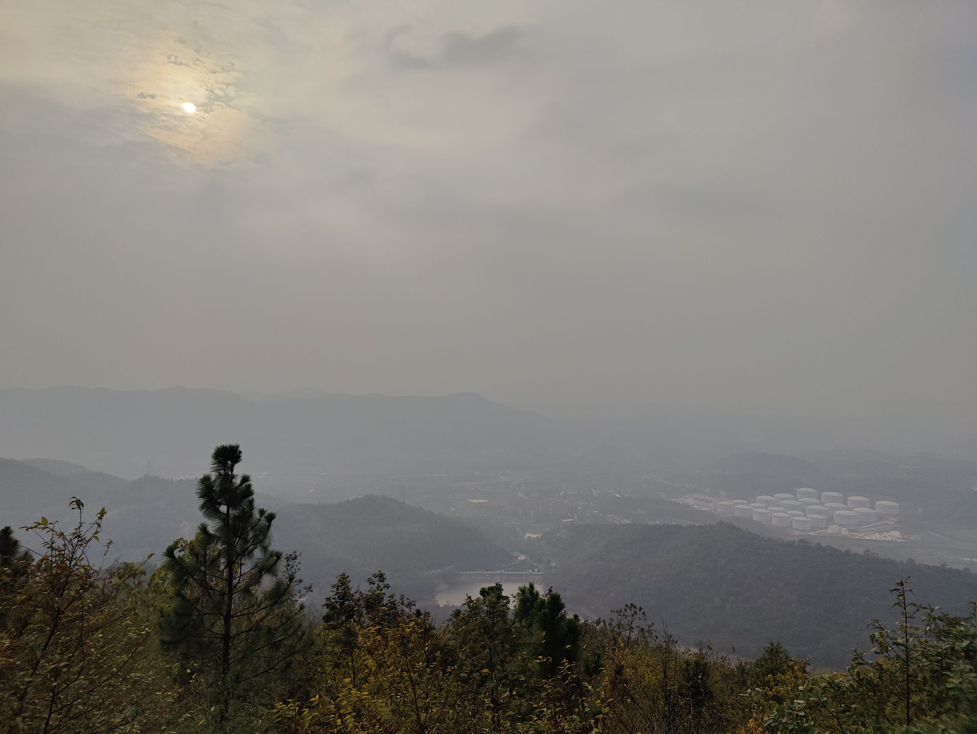 九郎山森林公园旅行图片 2