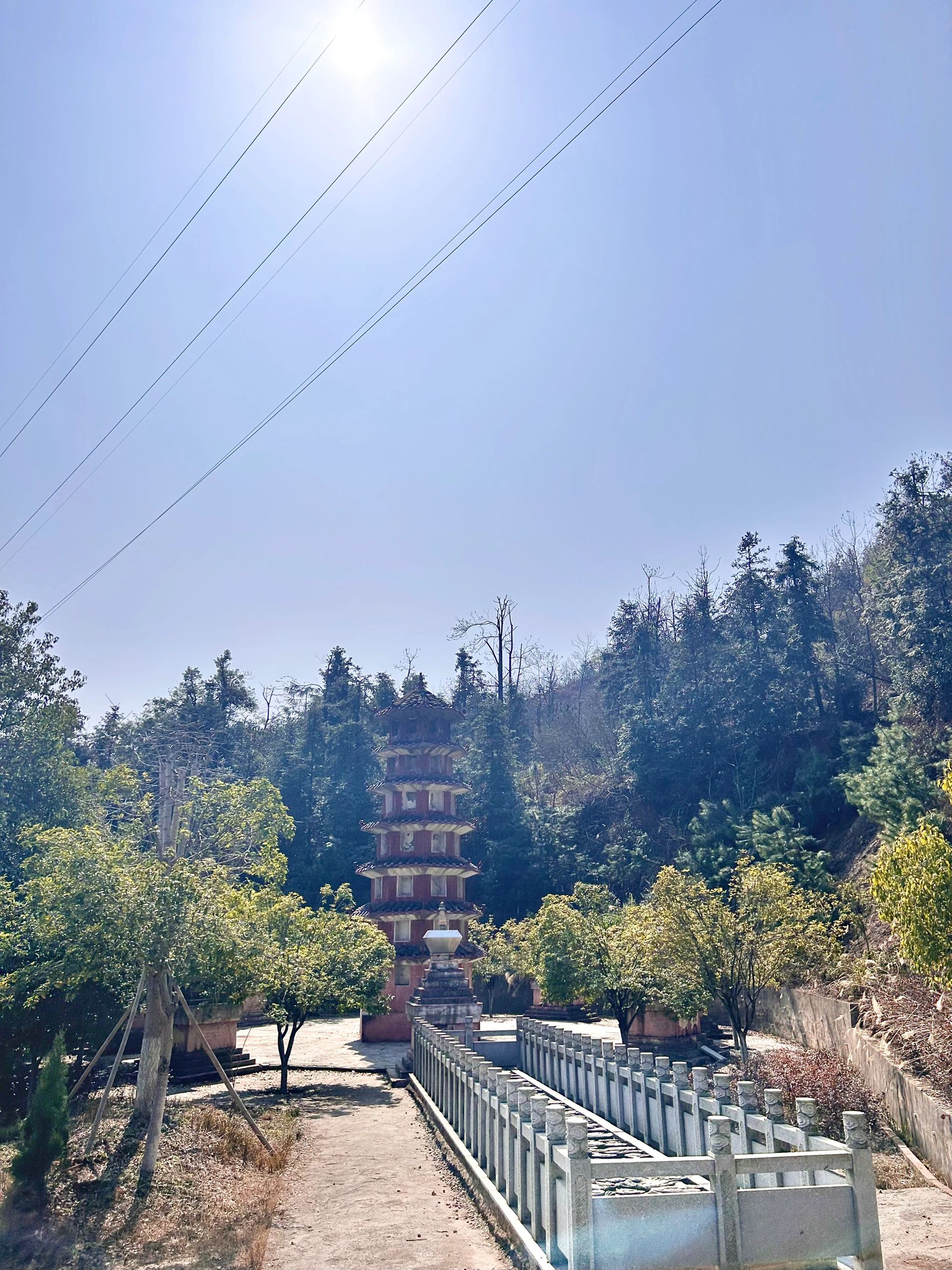 九郎山森林公园旅行图片 2