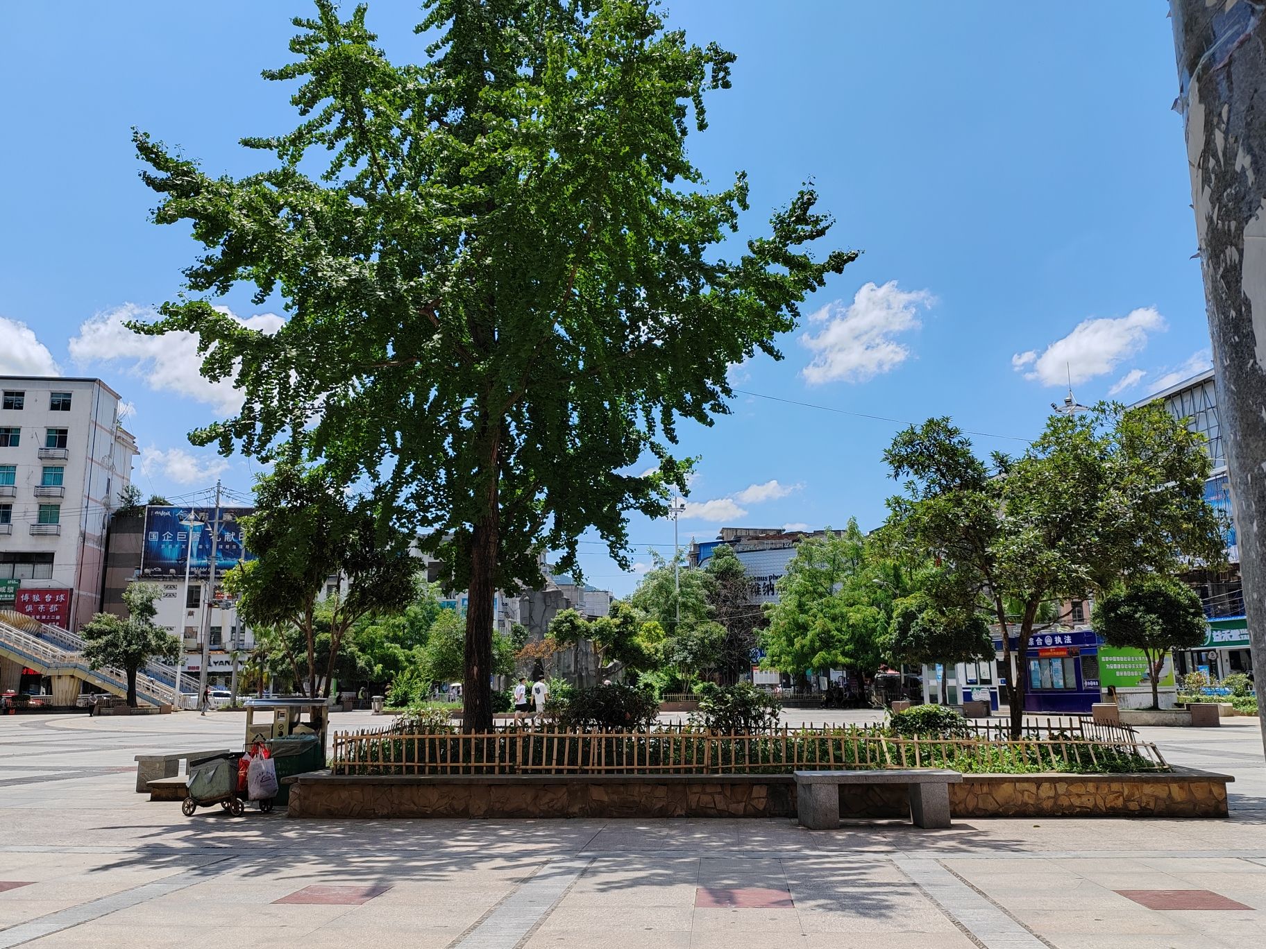 龙津街道中心广场景点图片