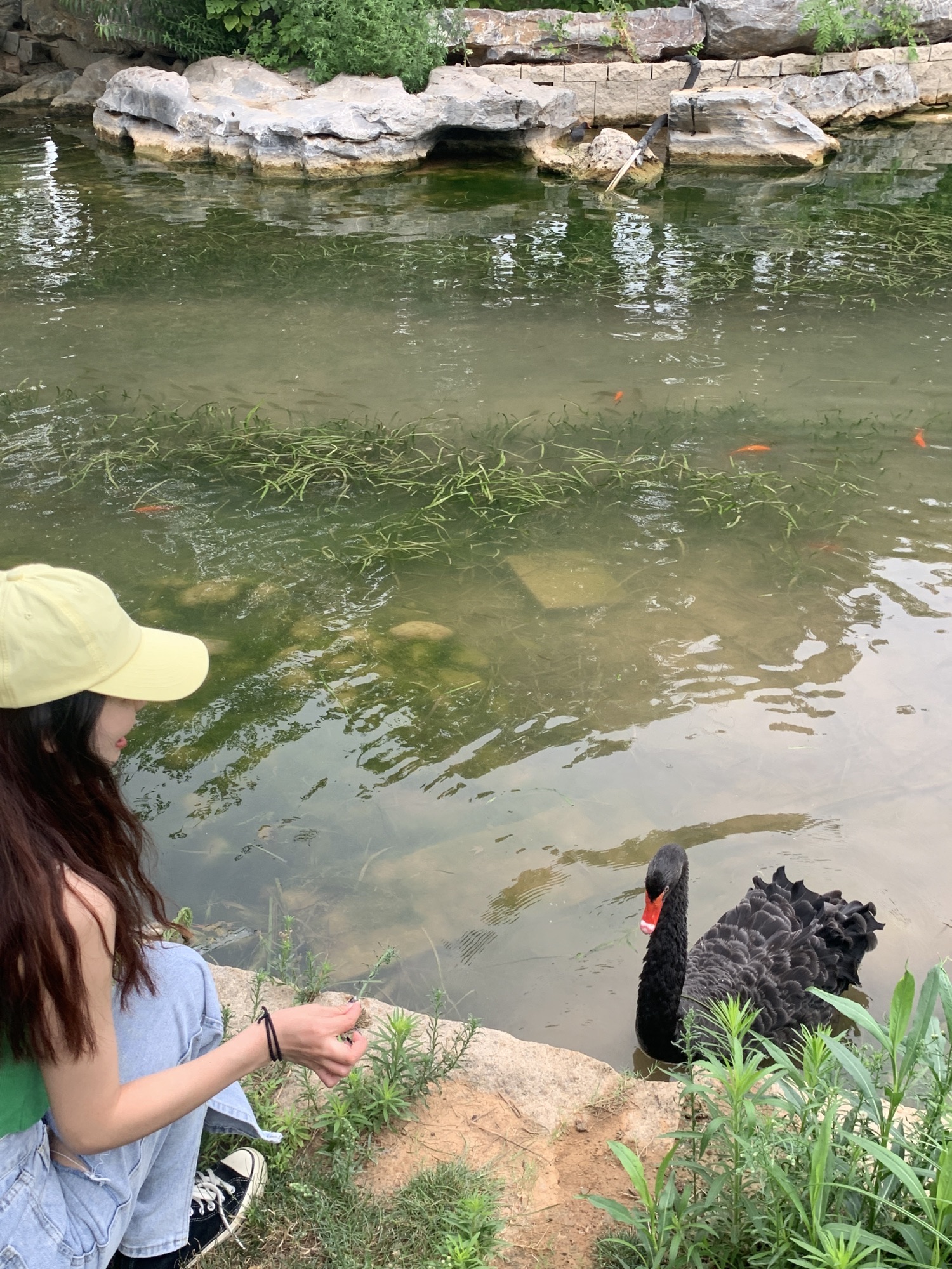 长平游园旅行图片 1