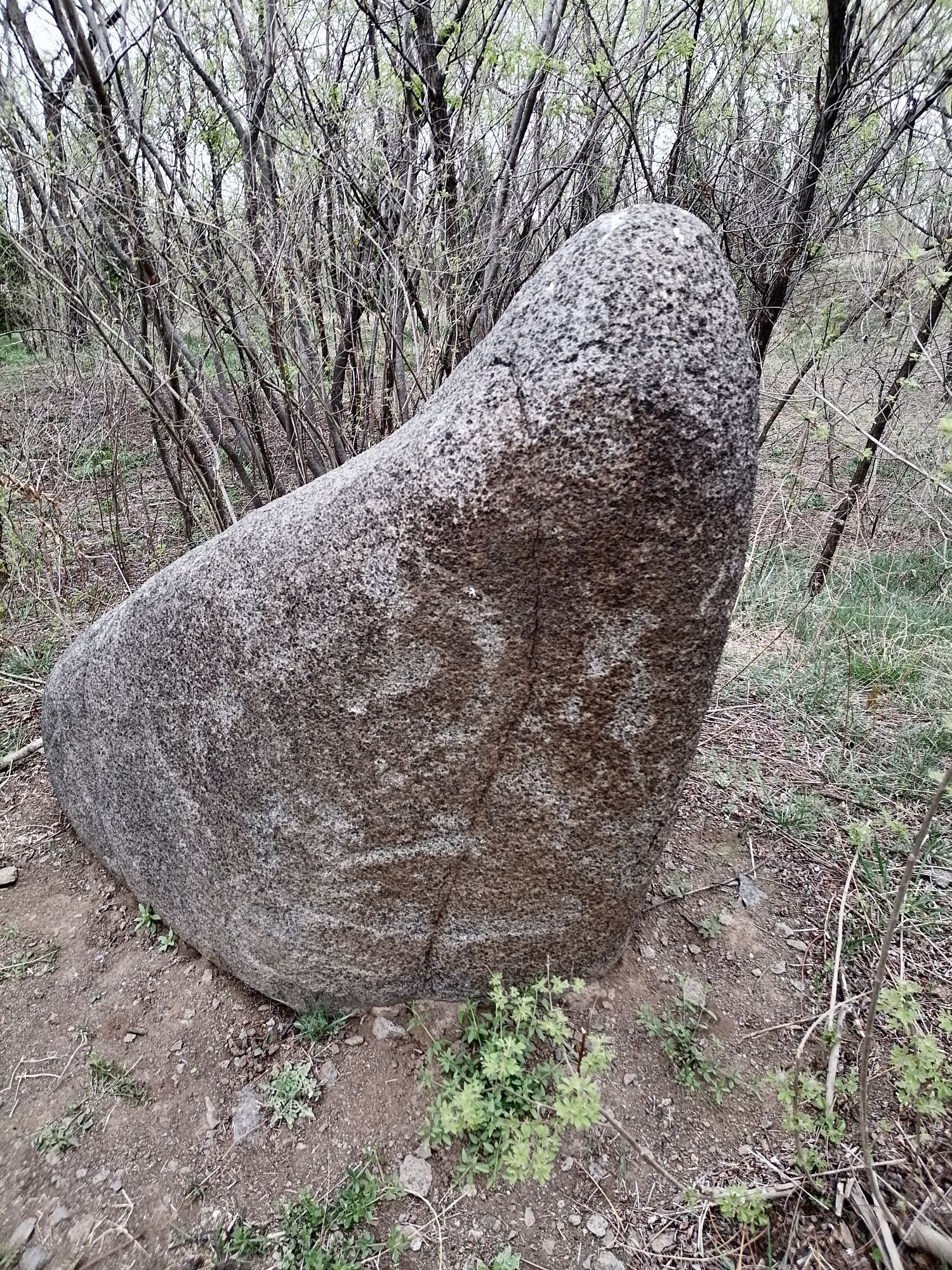 崇山石祖林风景区旅行图片 2