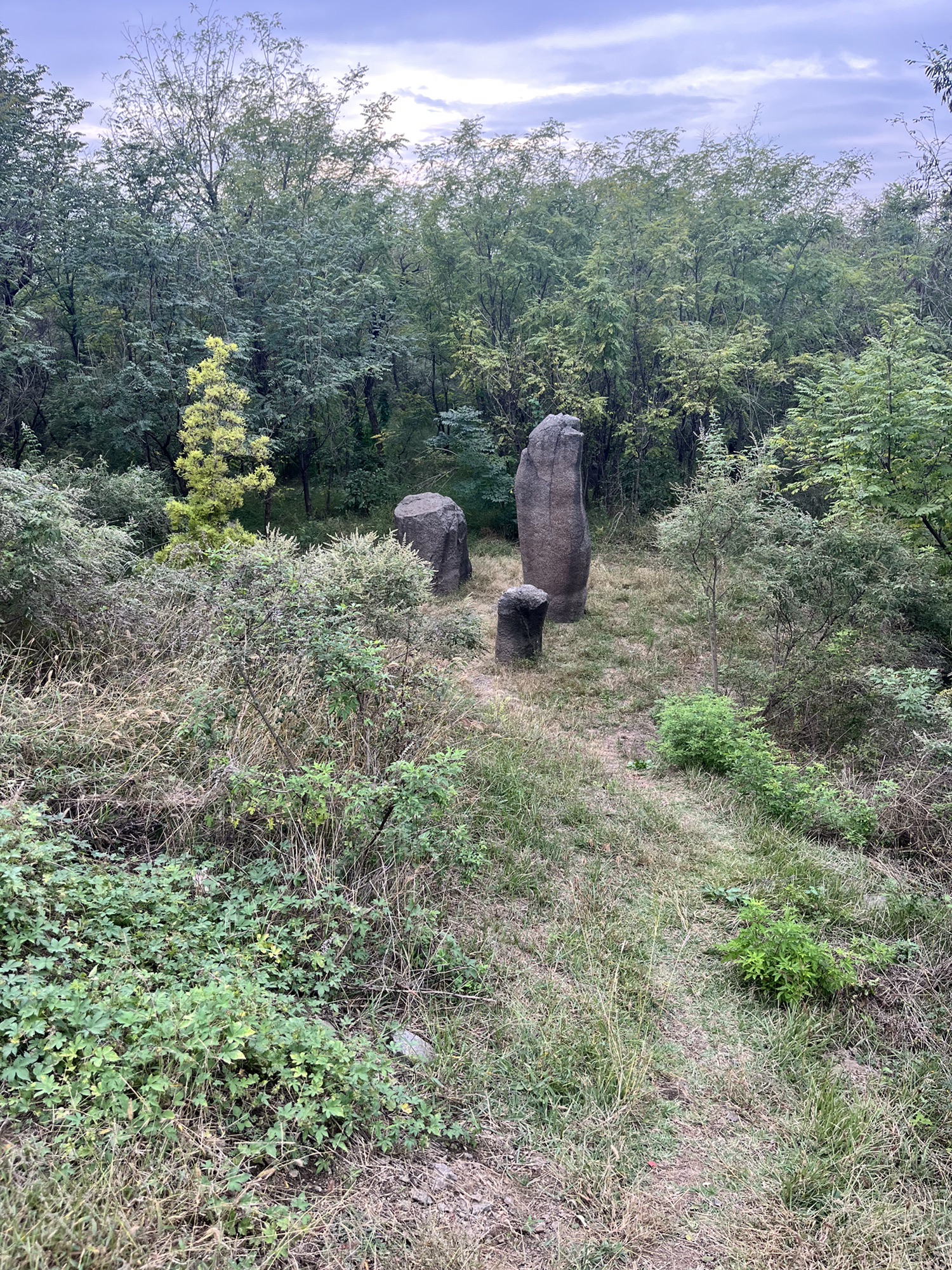 崇山石祖林风景区旅行图片 2