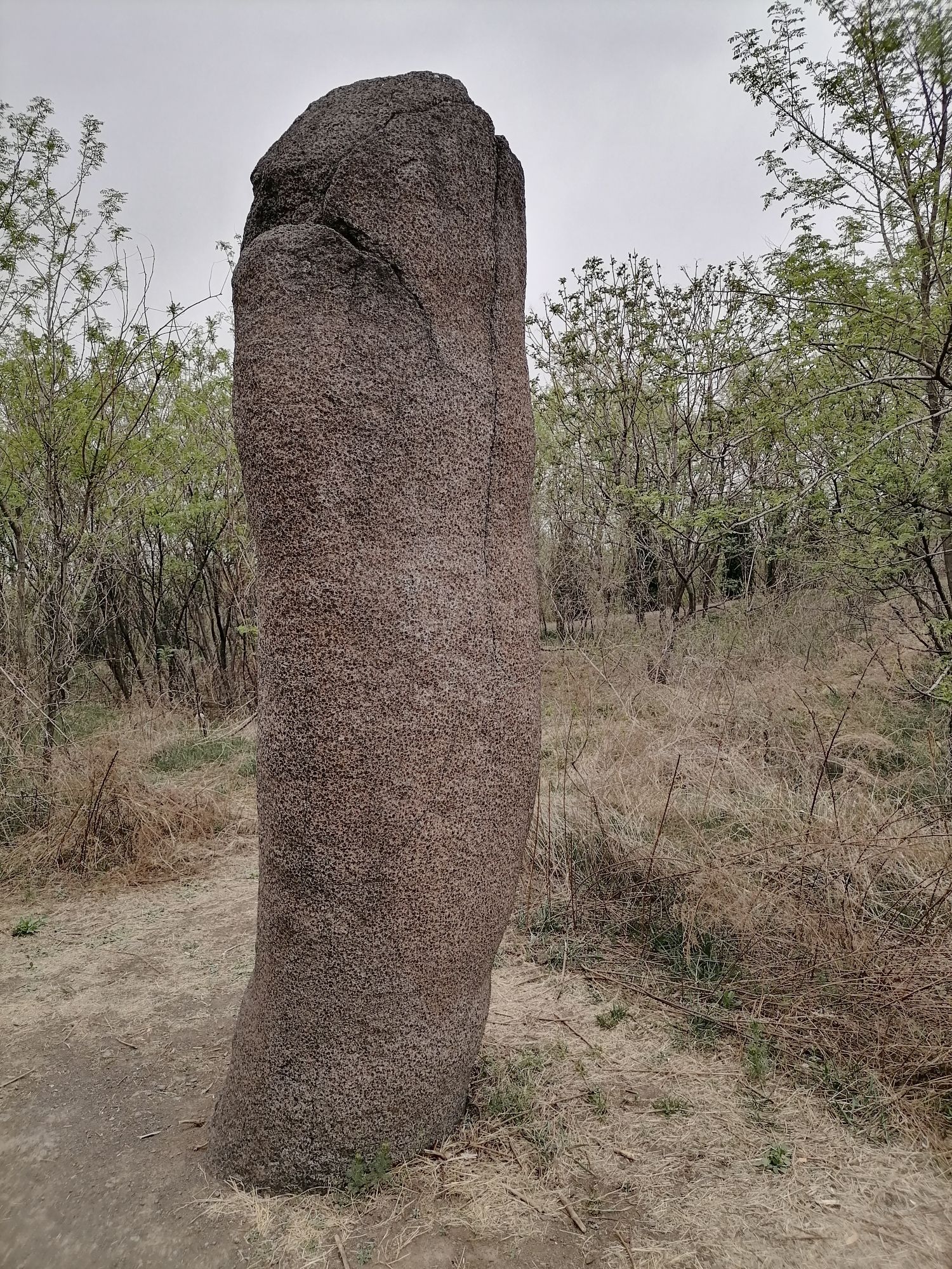 崇山石祖林风景区旅行图片 3
