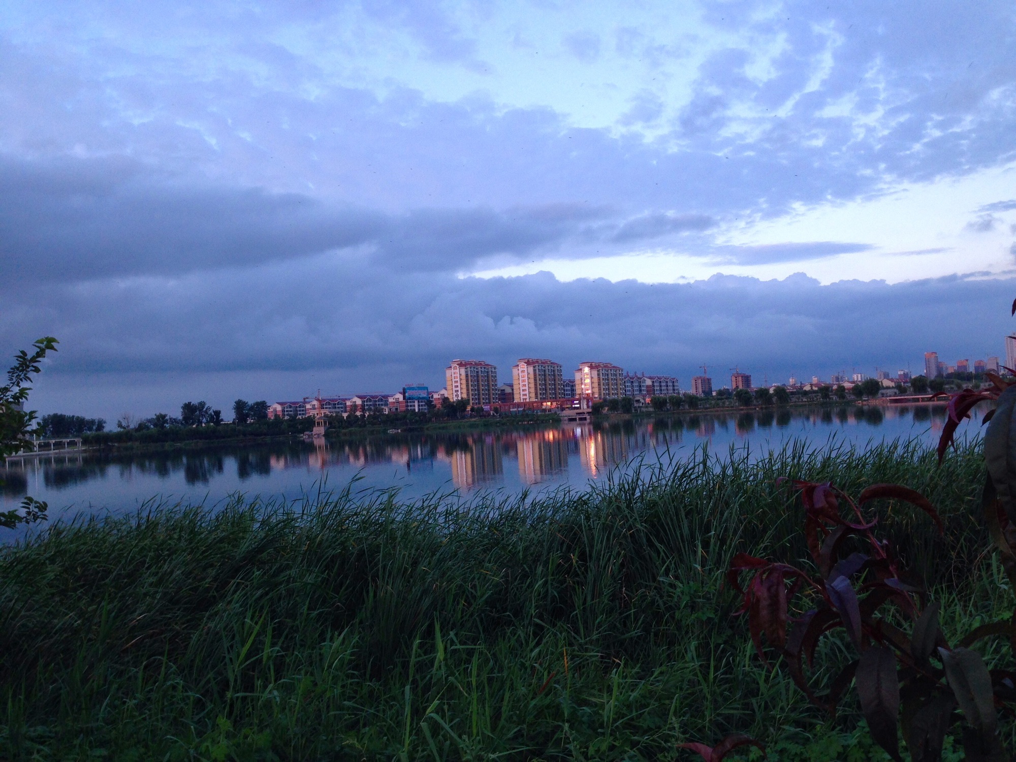 莱州市河套湿地公园旅行图片 3