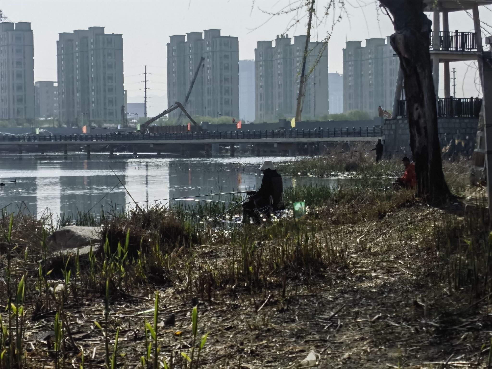 莱州市河套湿地公园旅行图片 2