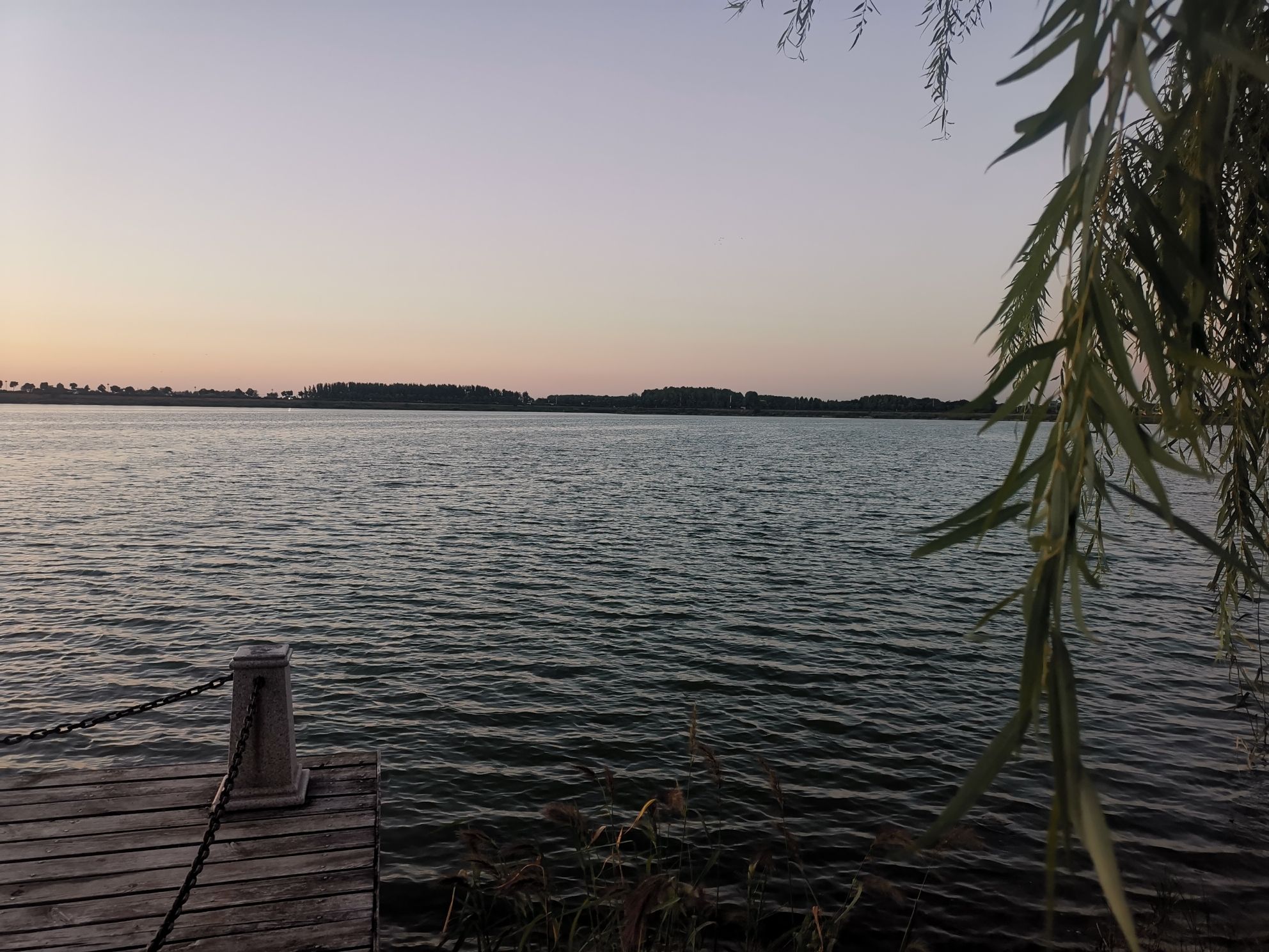 莱州市河套湿地公园旅行图片 3
