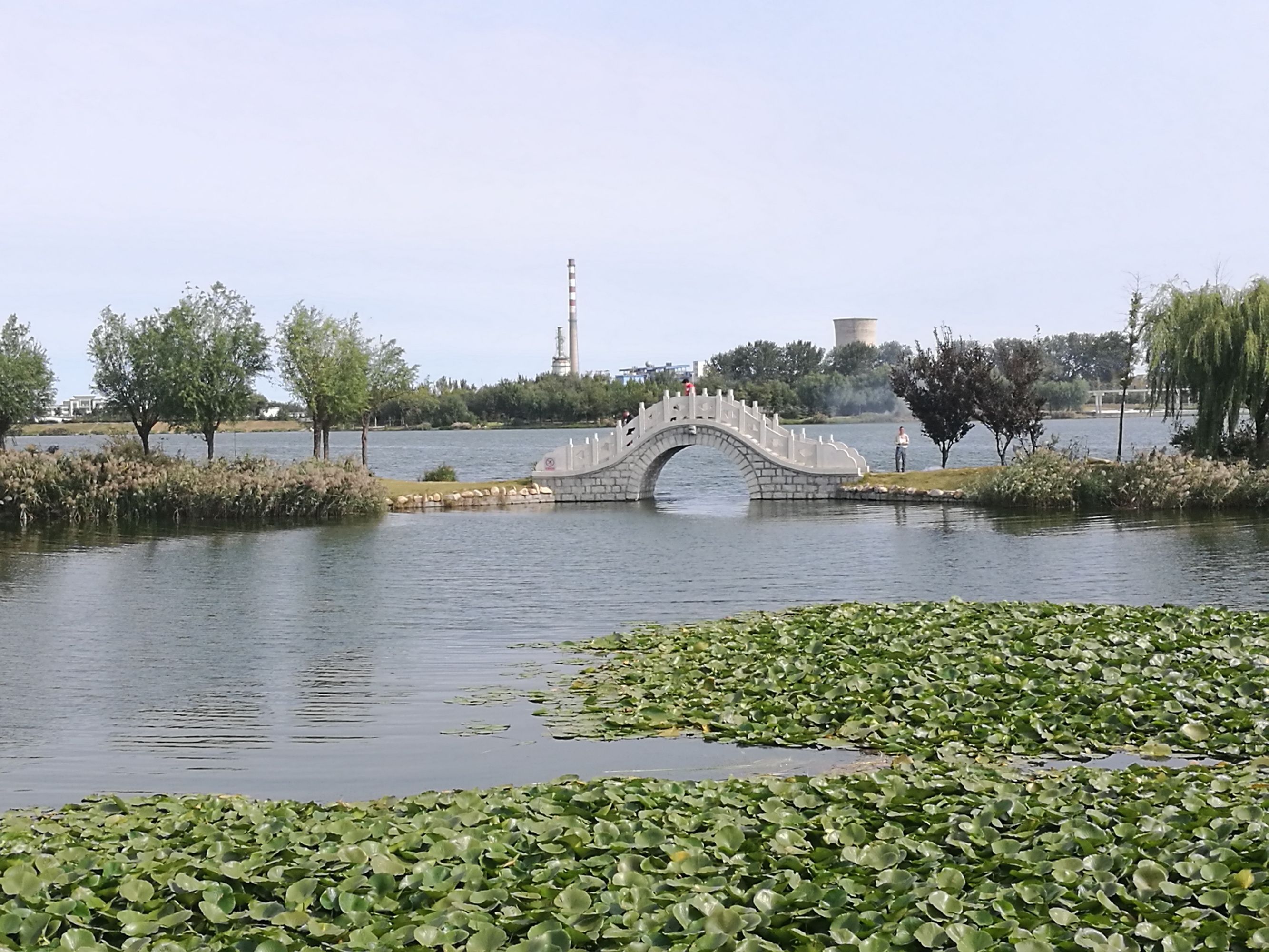 莱州市河套湿地公园旅行图片 3