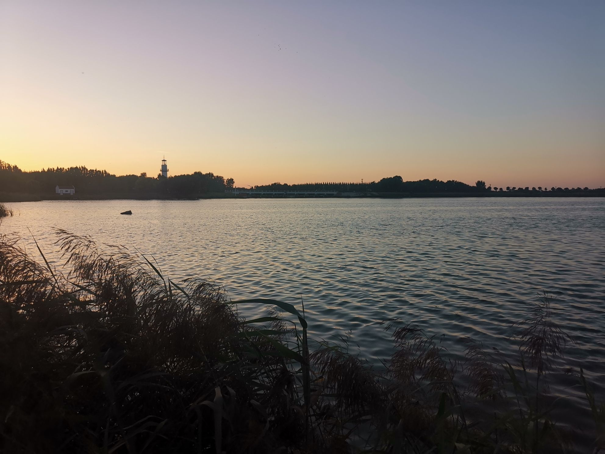 莱州市河套湿地公园旅行图片 2