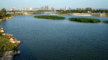 莱州市河套湿地公园旅行图片 1