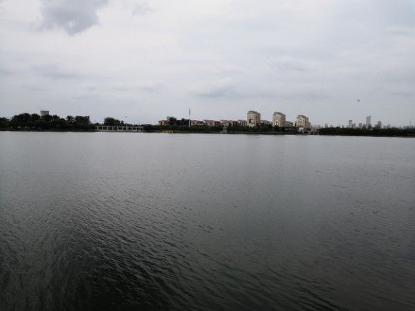 莱州市河套湿地公园旅行图片 1