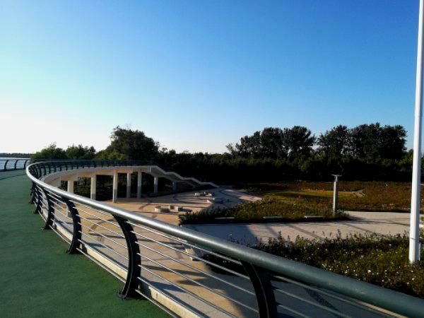 莱州市河套湿地公园旅行图片 3