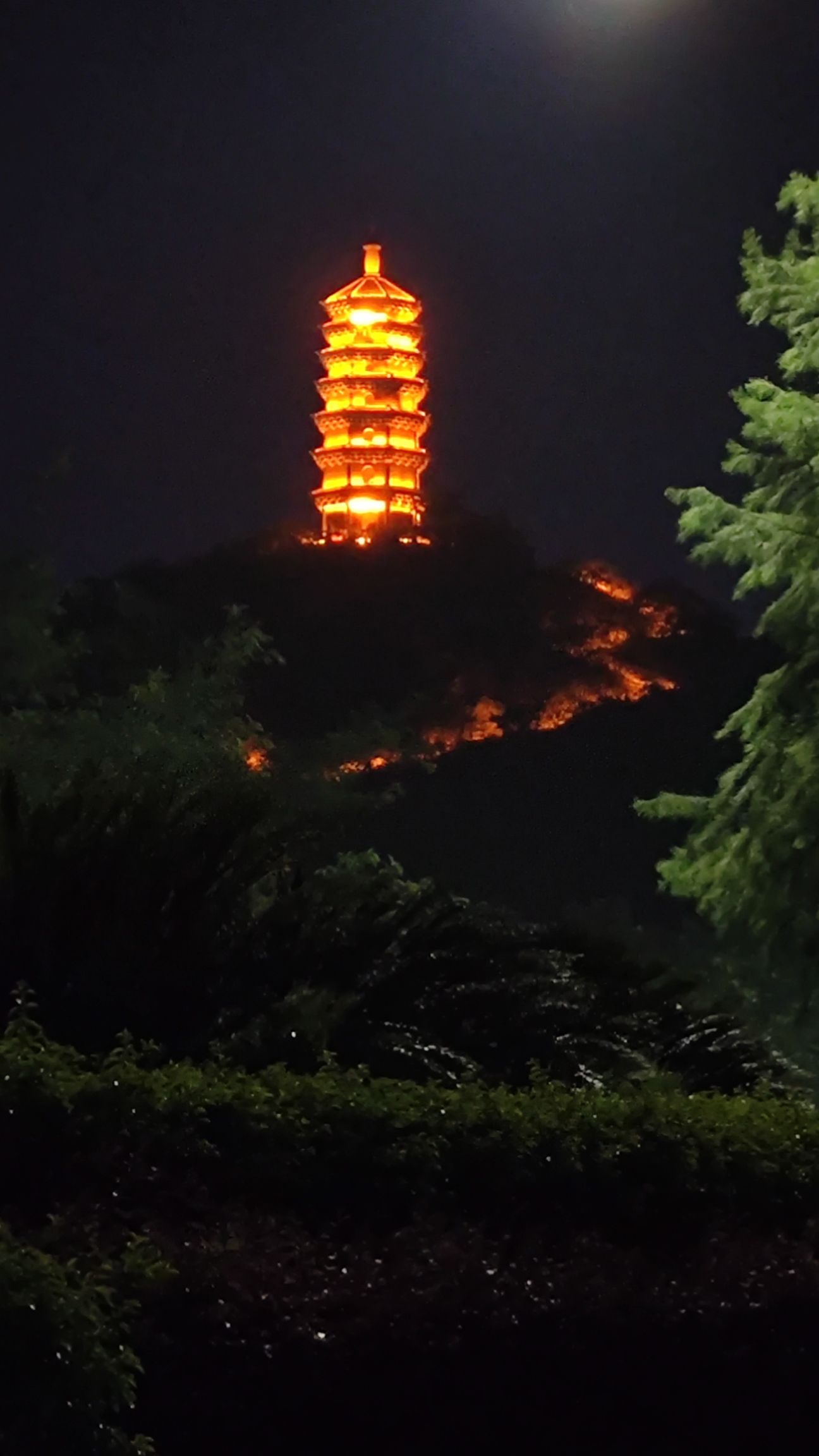 桂林塔旅行图片 3