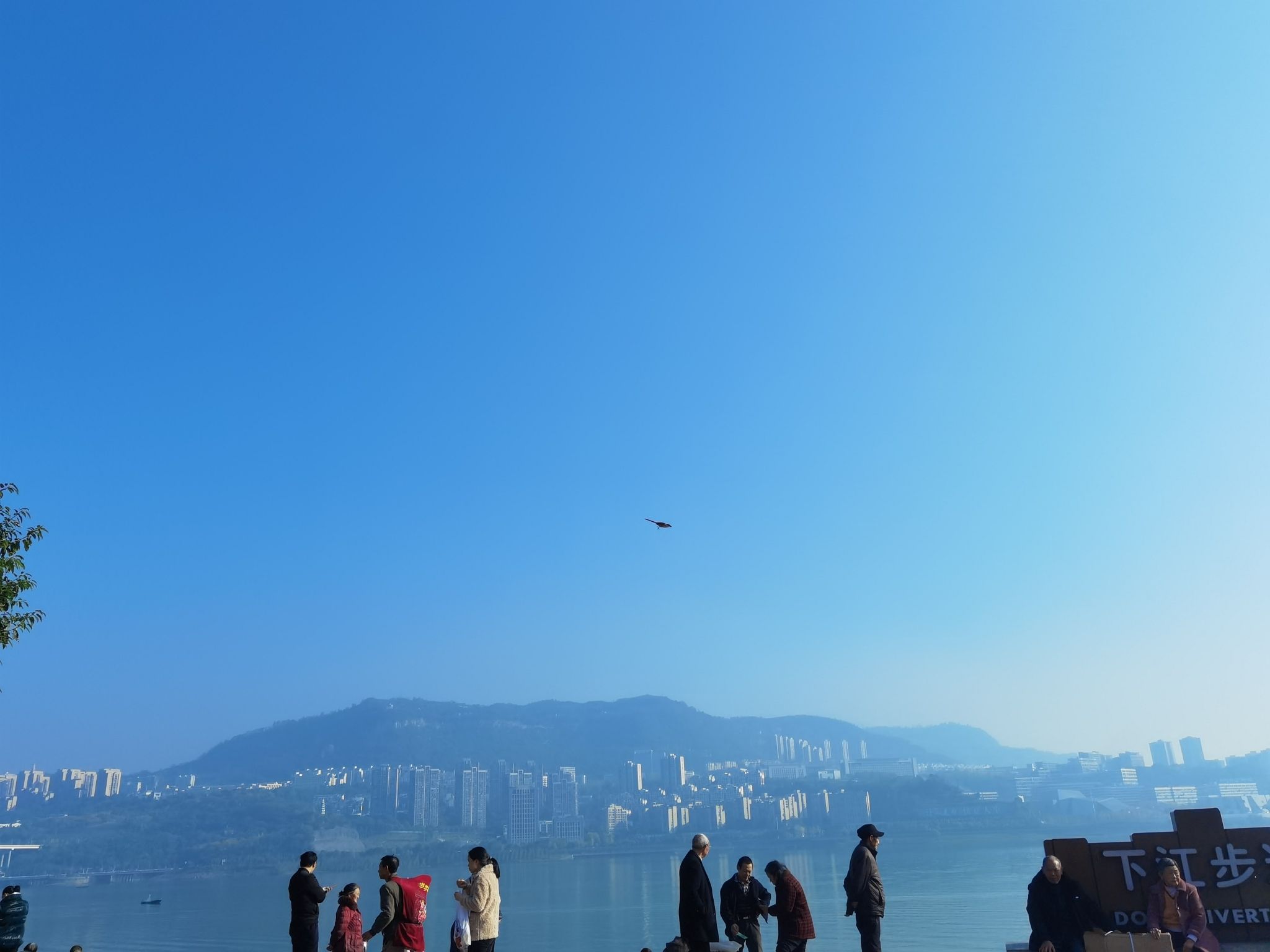 大桥溪音乐广场旅行图片 2