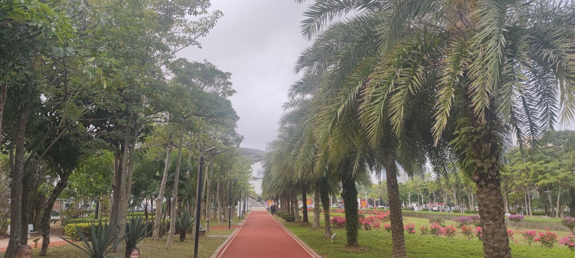 海南文化体育公园旅行图片 1