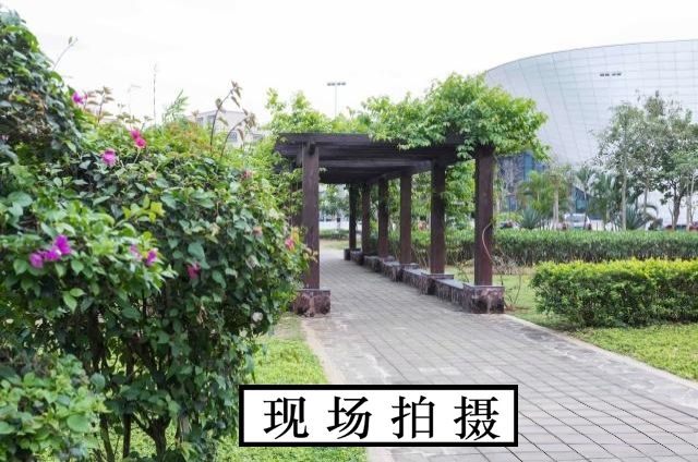 海南文化体育公园旅行图片 2