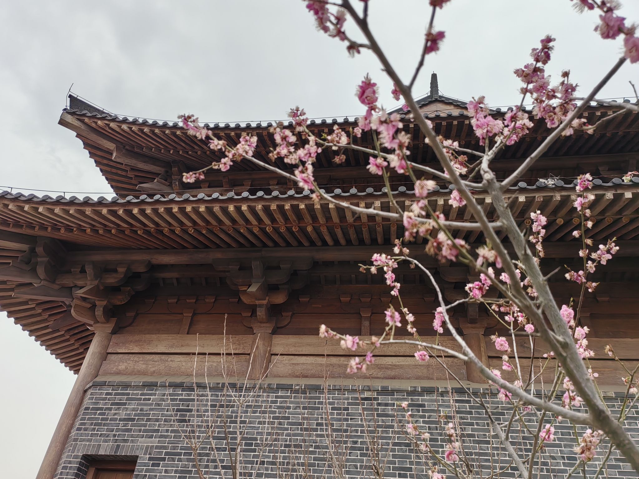 皇山东夷文化园旅行图片 1