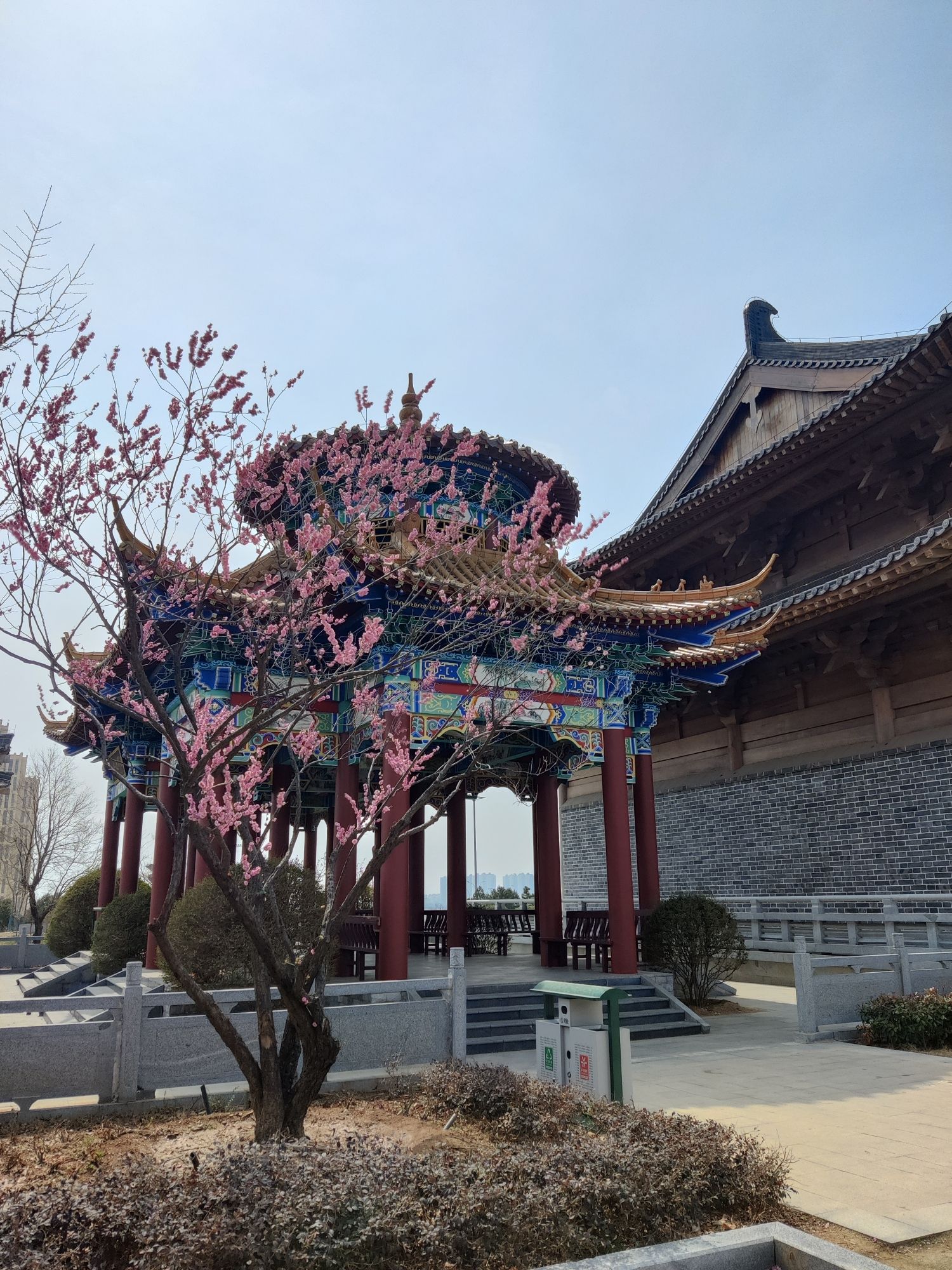皇山东夷文化园旅行图片 3