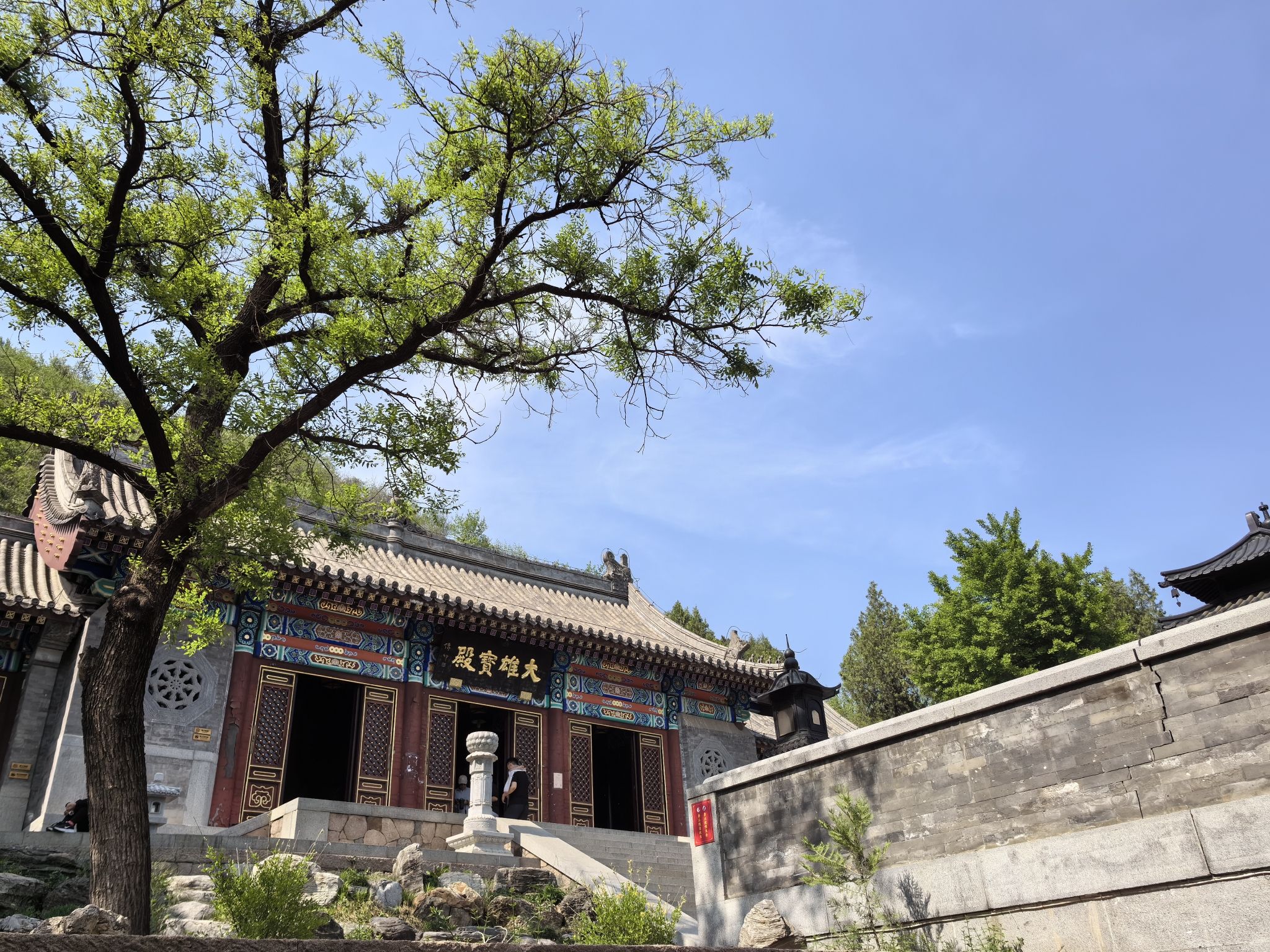 延寿寺盘龙松风景区旅行图片 3