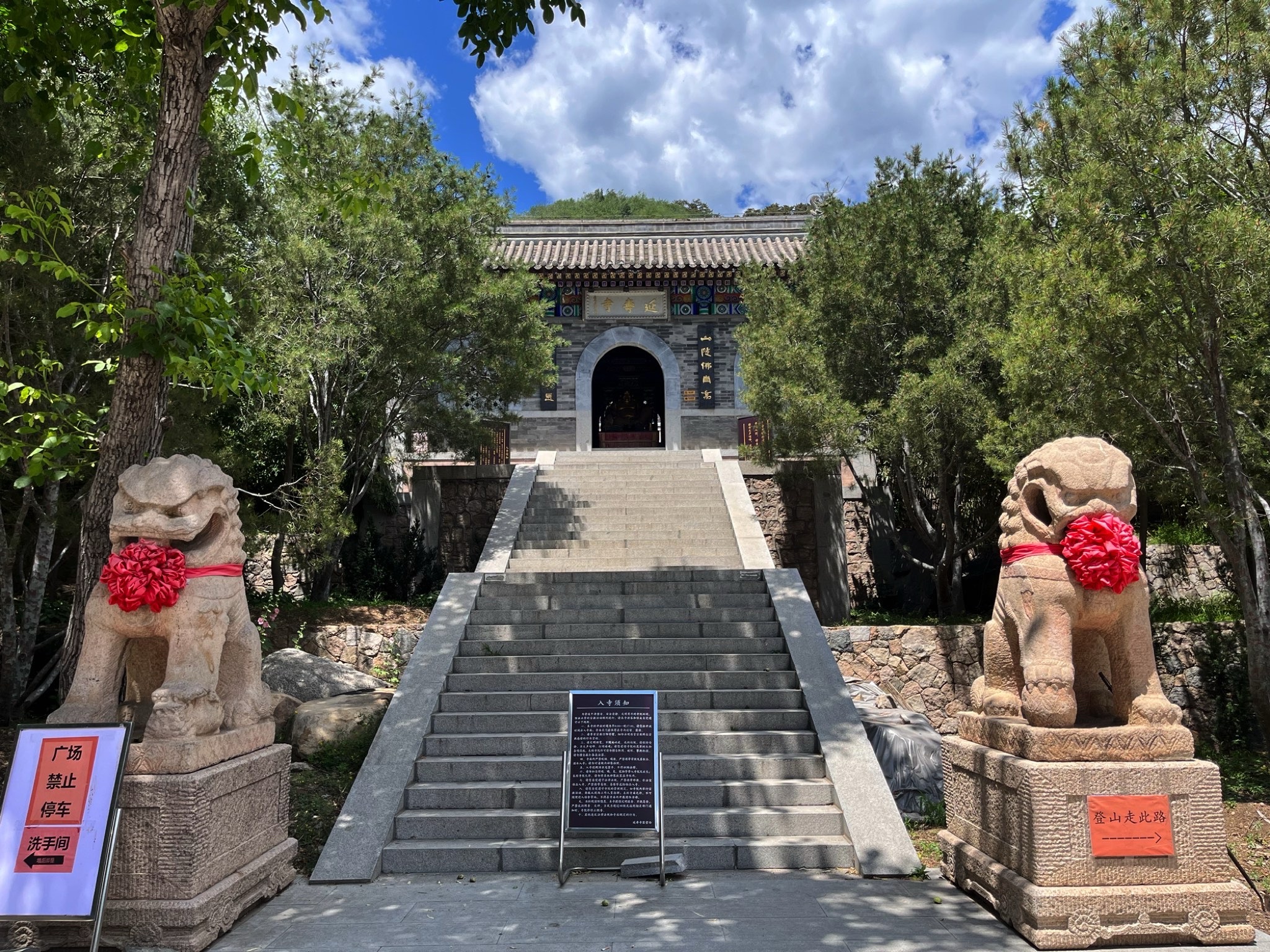 延寿寺盘龙松风景区旅行图片 1