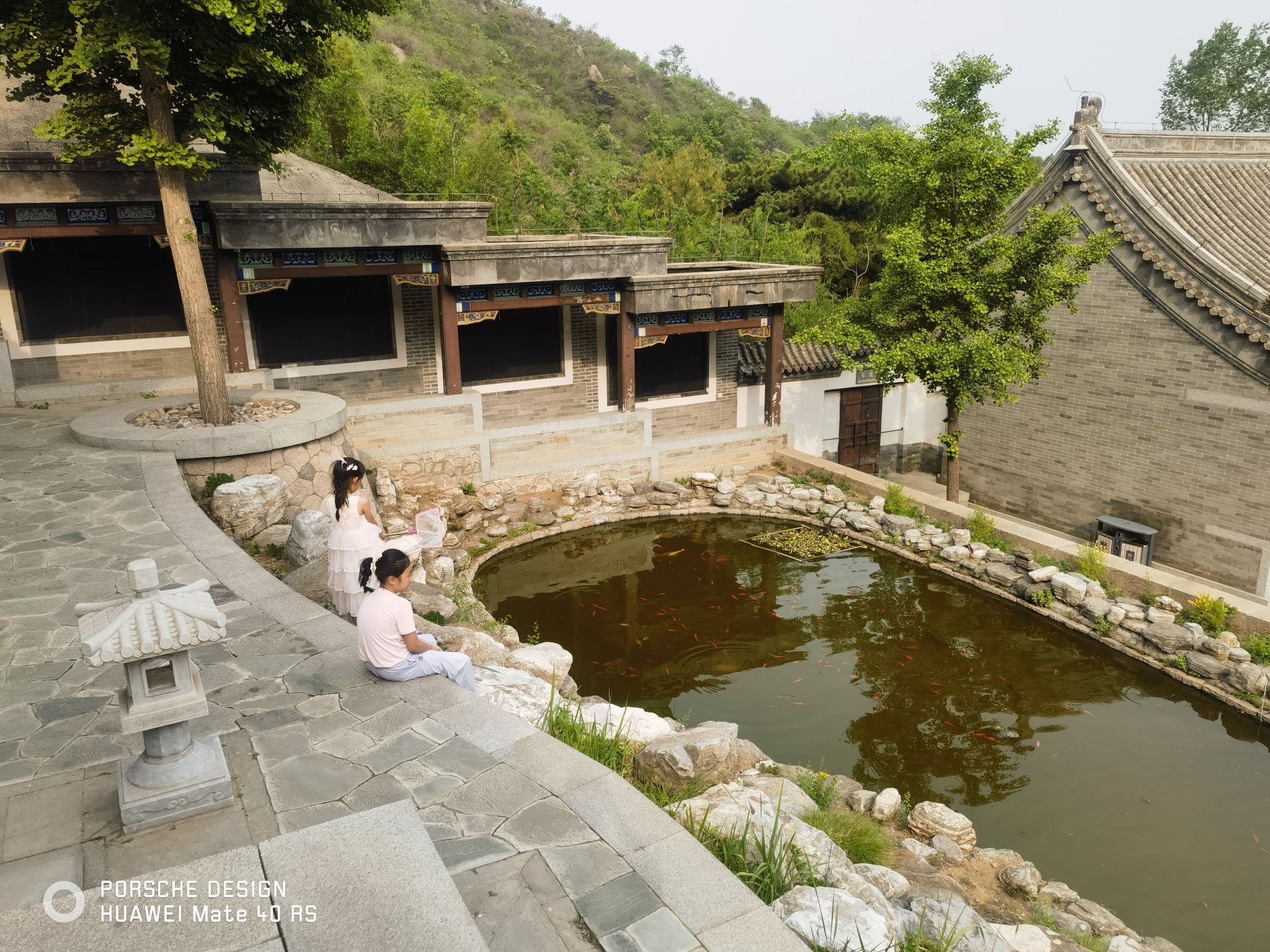 延寿寺盘龙松风景区旅行图片 2