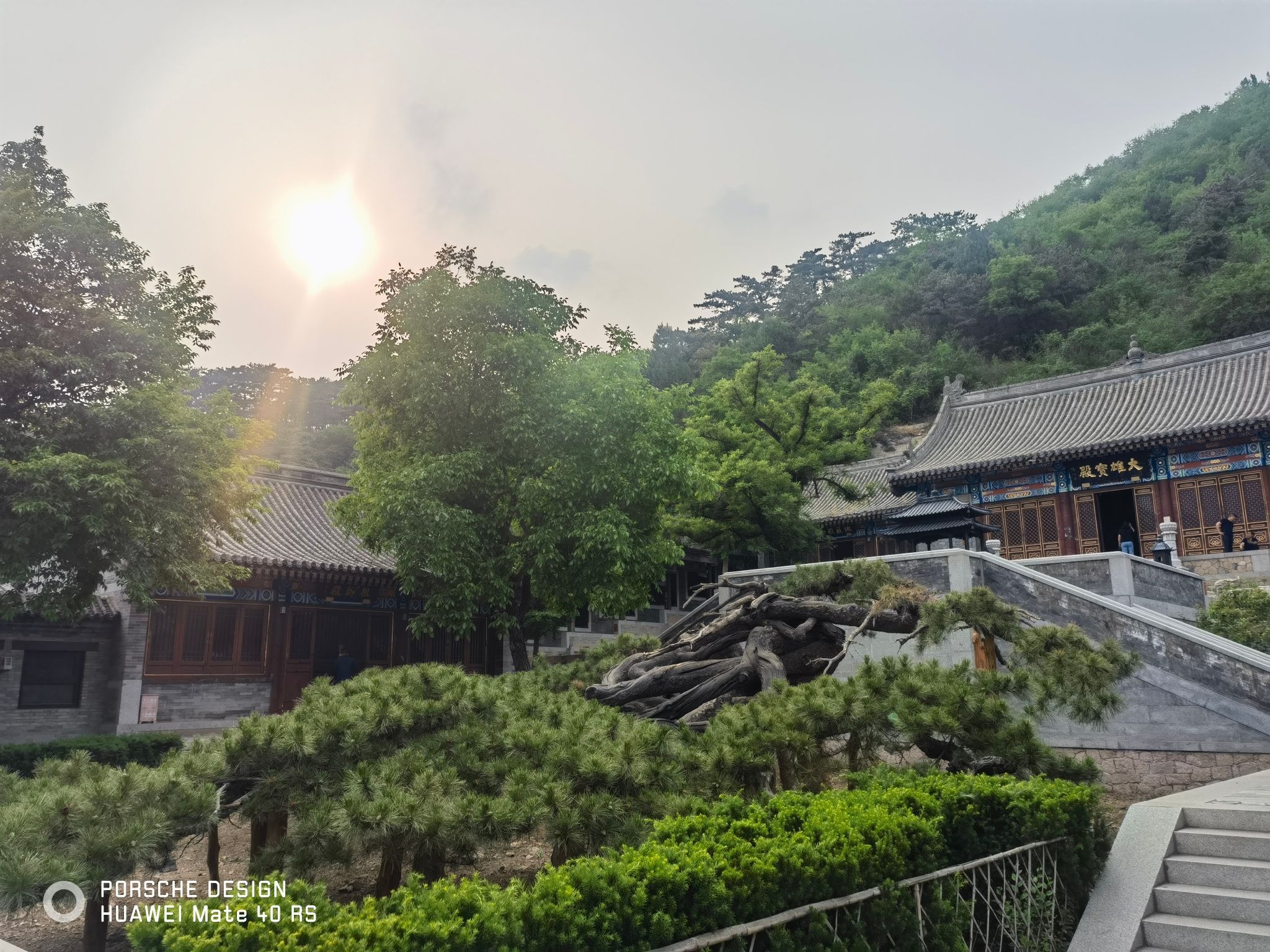 延寿寺盘龙松风景区旅行图片 1