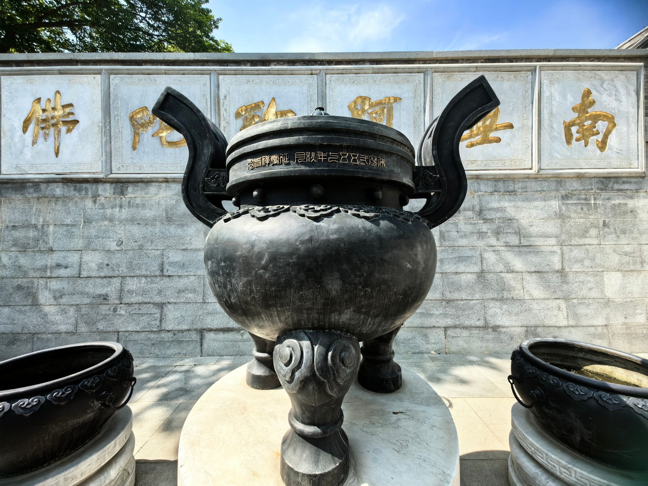 延寿寺盘龙松风景区旅行图片 1