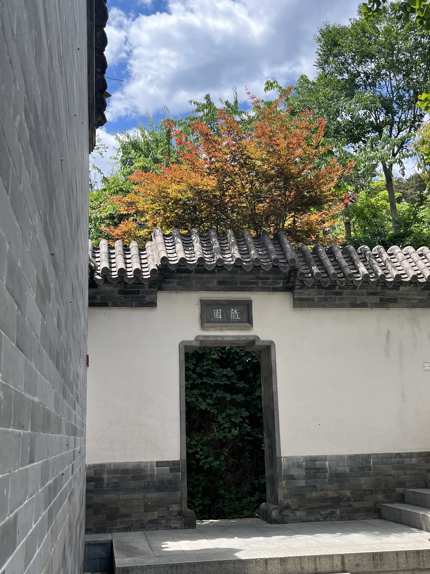 延寿寺盘龙松风景区旅行图片 2
