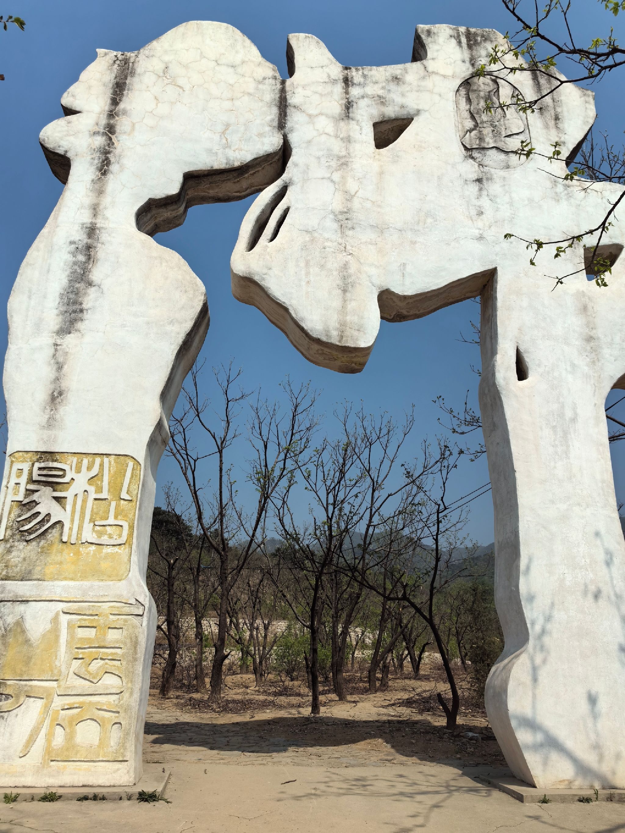 延寿寺盘龙松风景区旅行图片 1