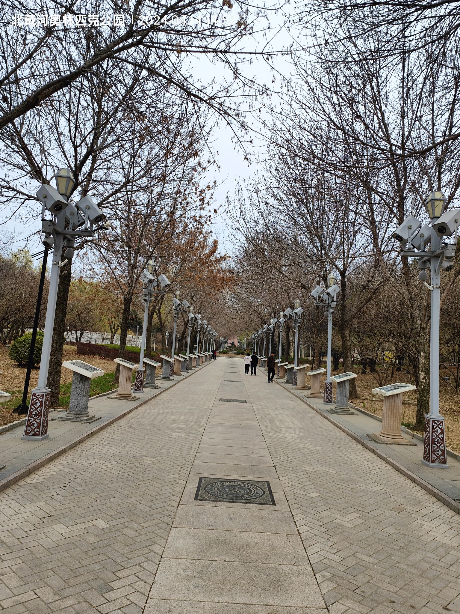 奥林匹克公园旅行图片 3