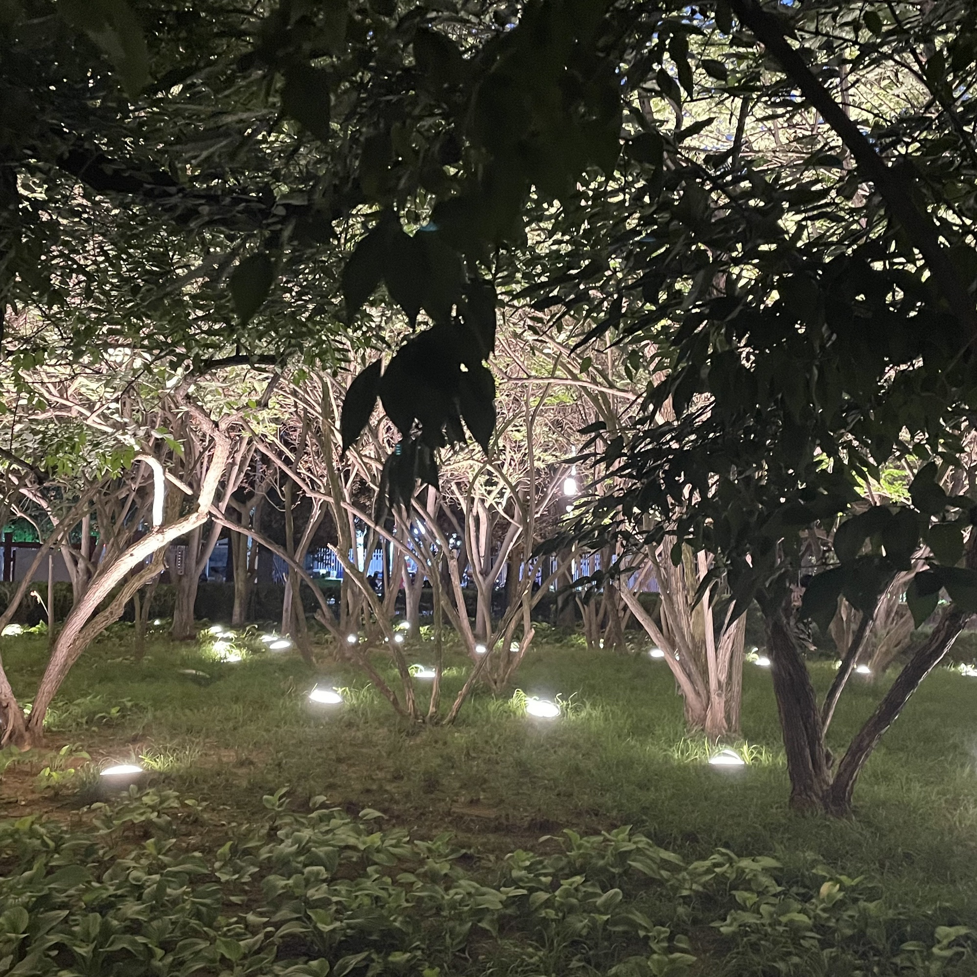 奥林匹克公园旅行图片 3
