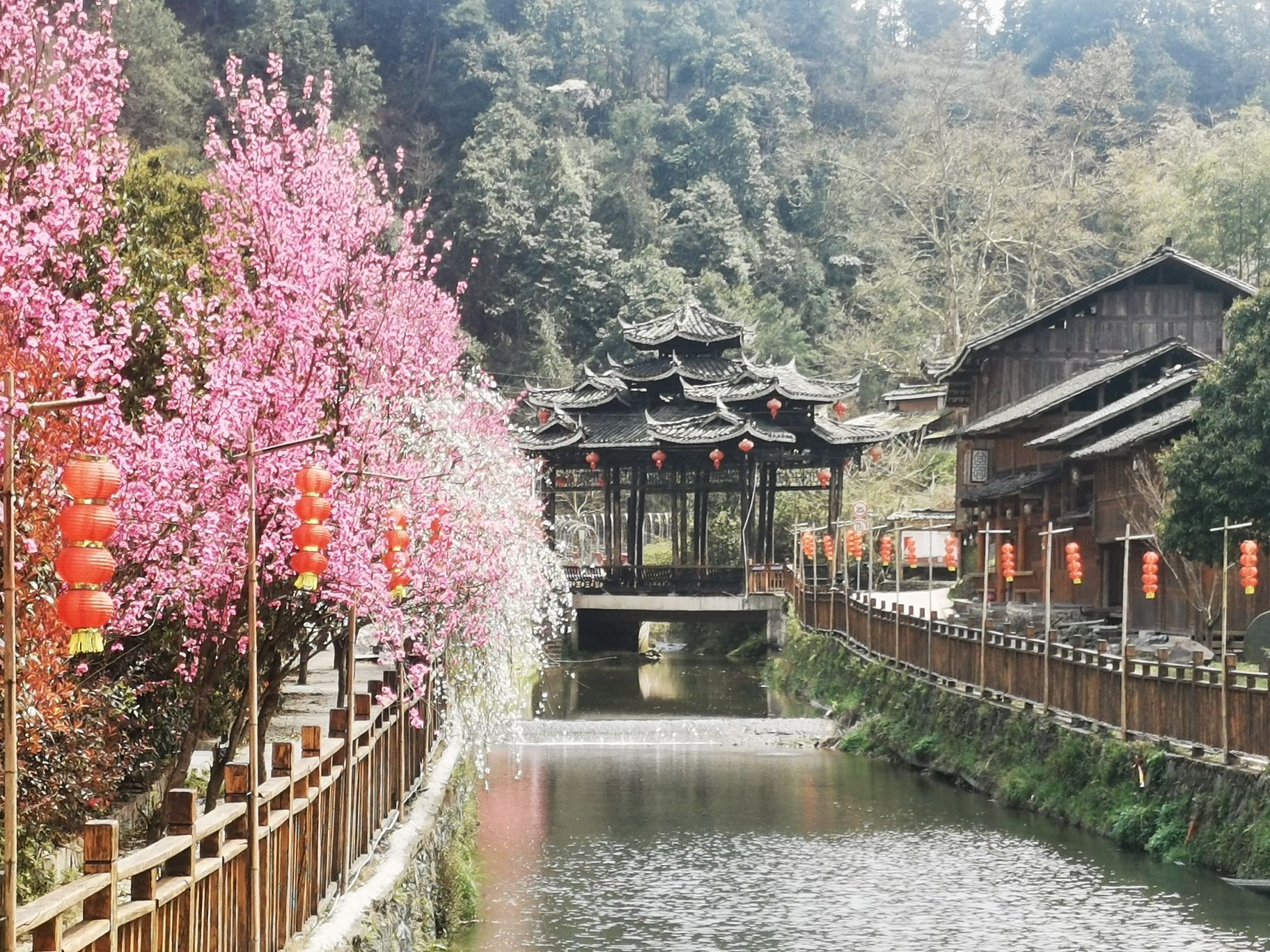 地笋苗寨旅行图片 2