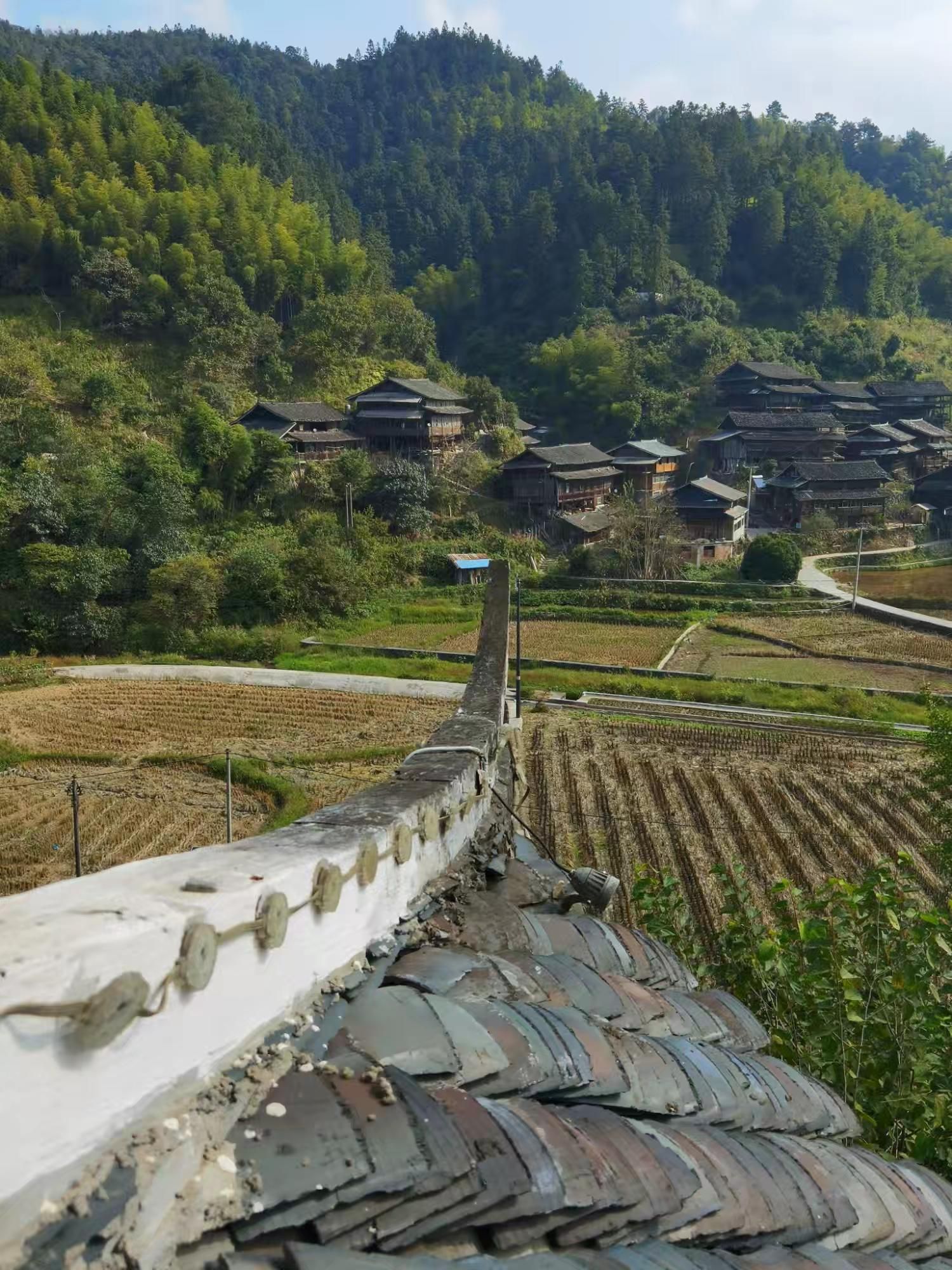 地笋苗寨旅行图片 1