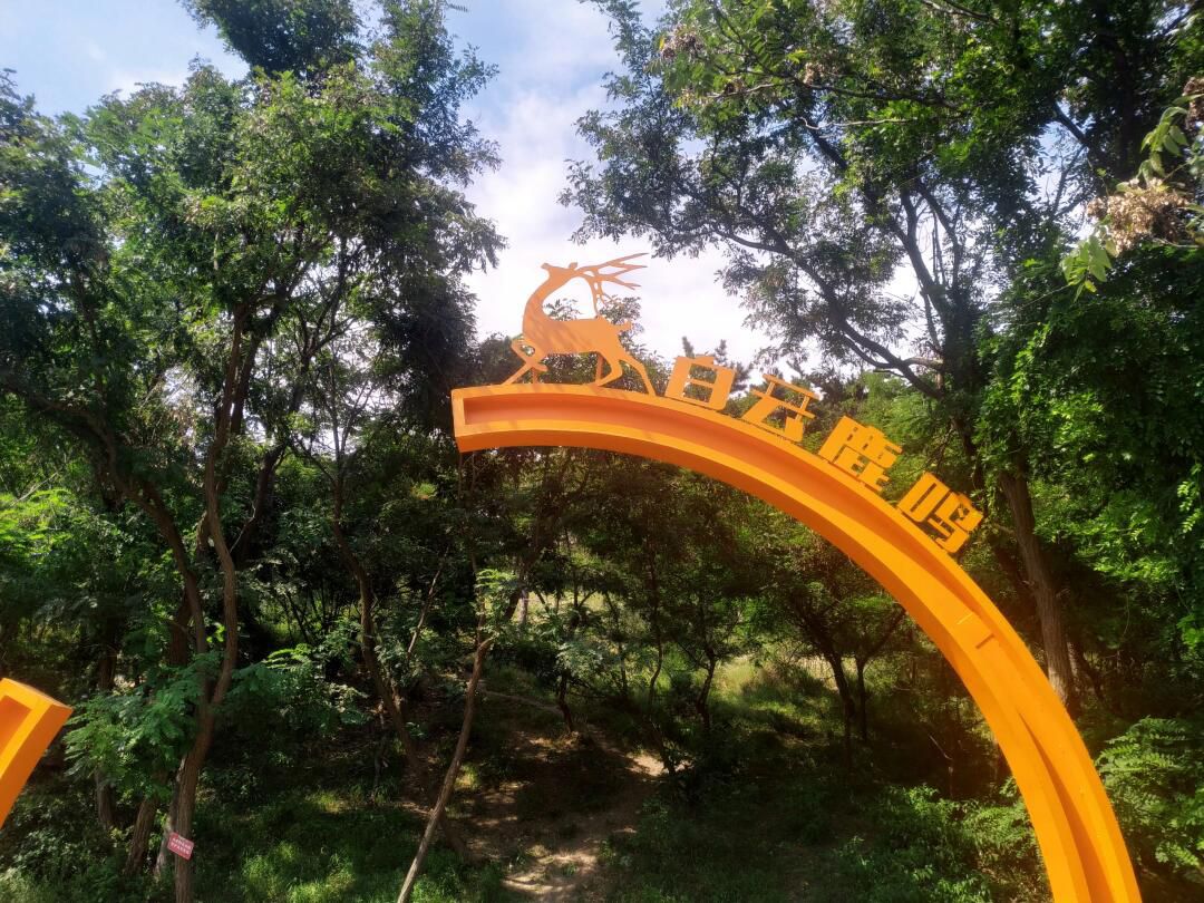 白云雁水峰景台旅行图片 2