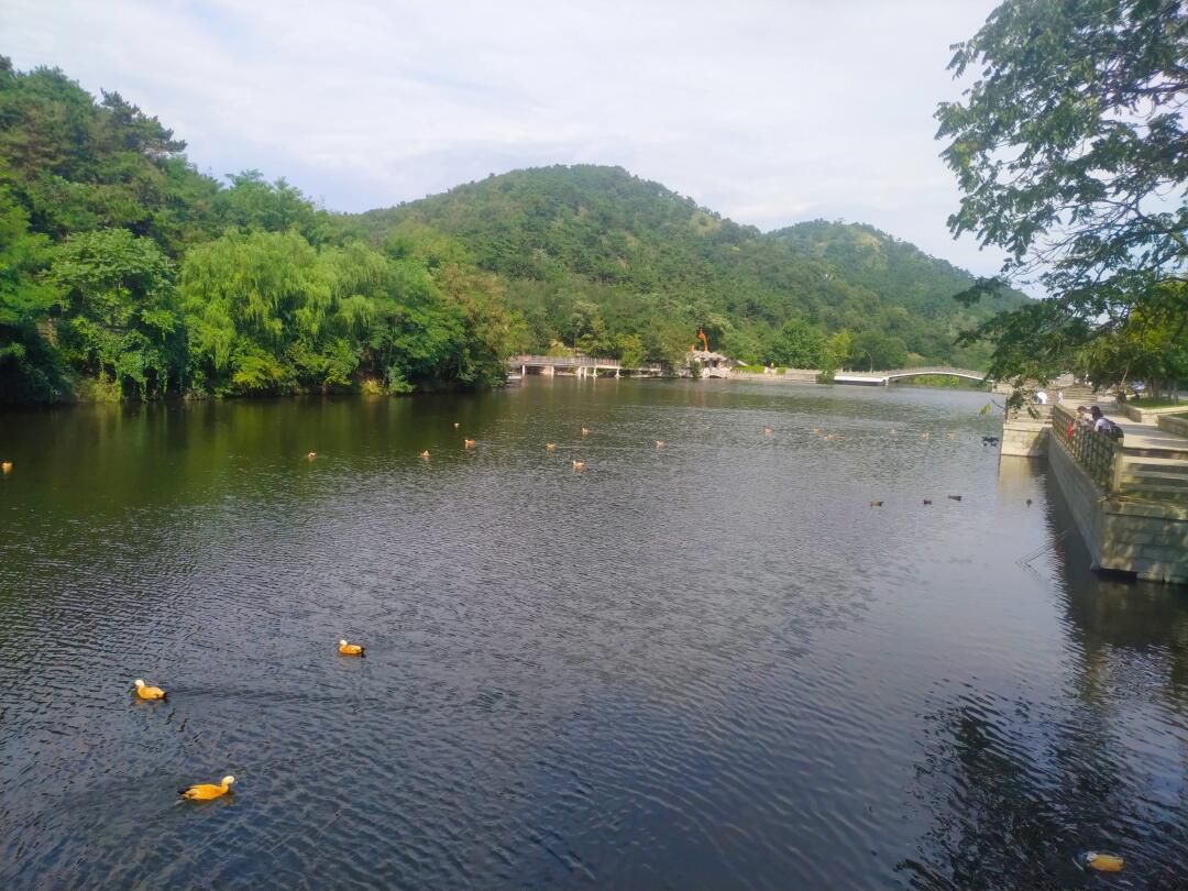白云雁水峰景台旅行图片 3