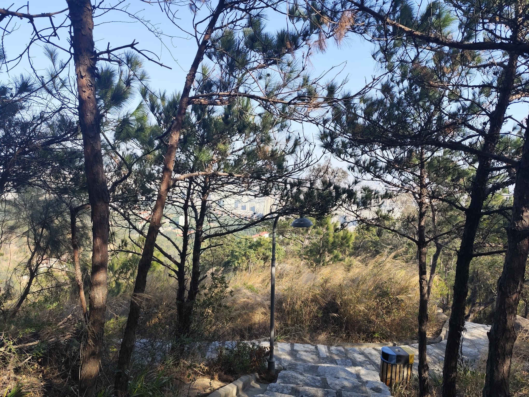 罗裳山生态公园旅行图片 3