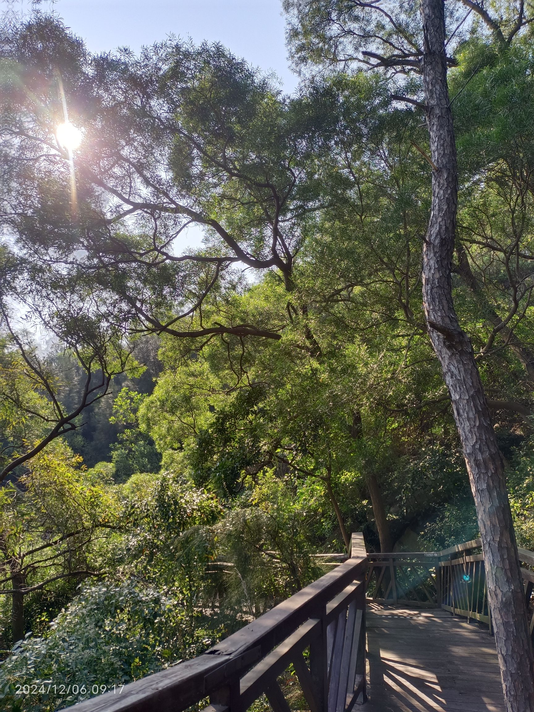 罗裳山生态公园旅行图片 2