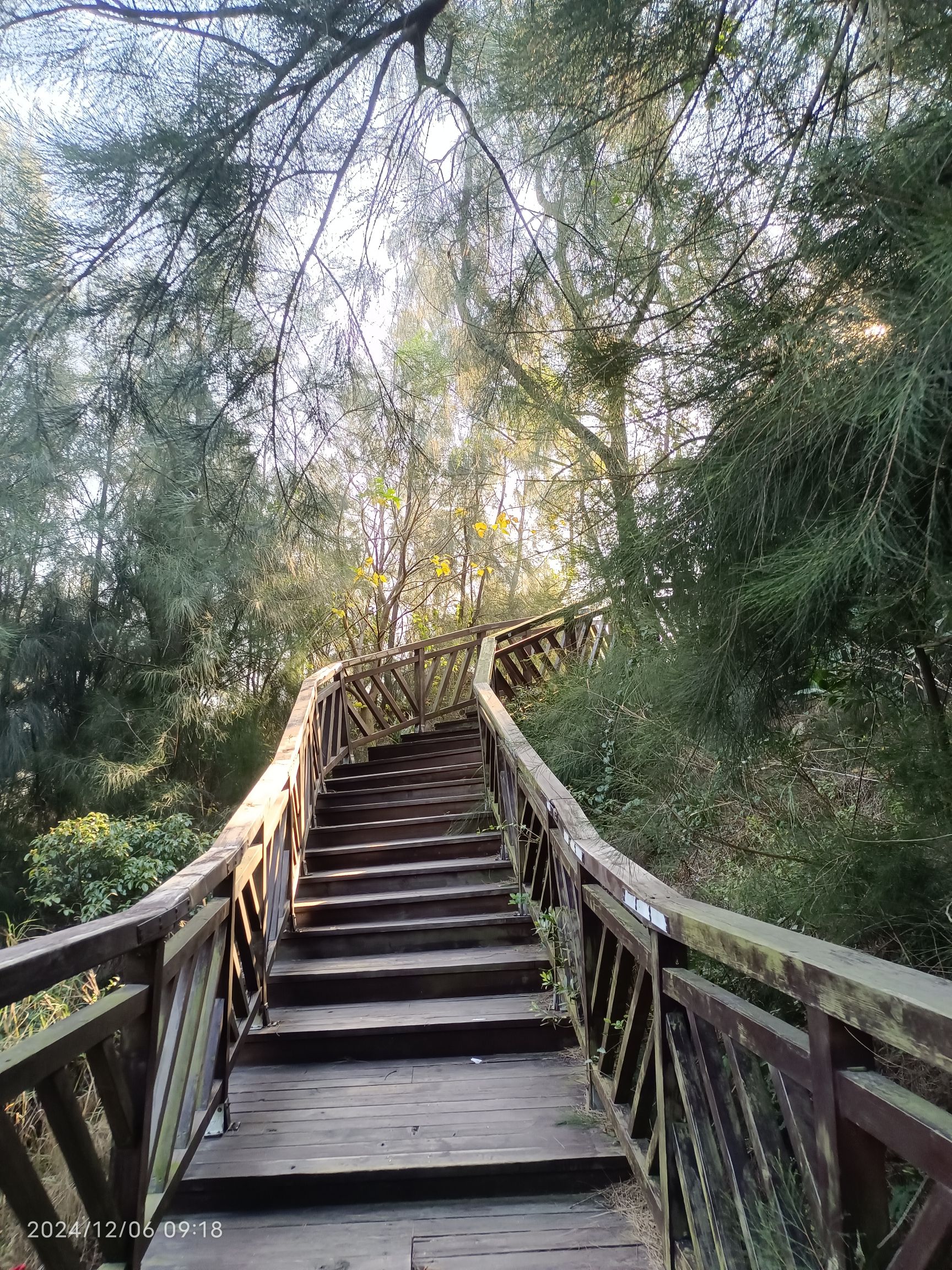 罗裳山生态公园旅行图片 1