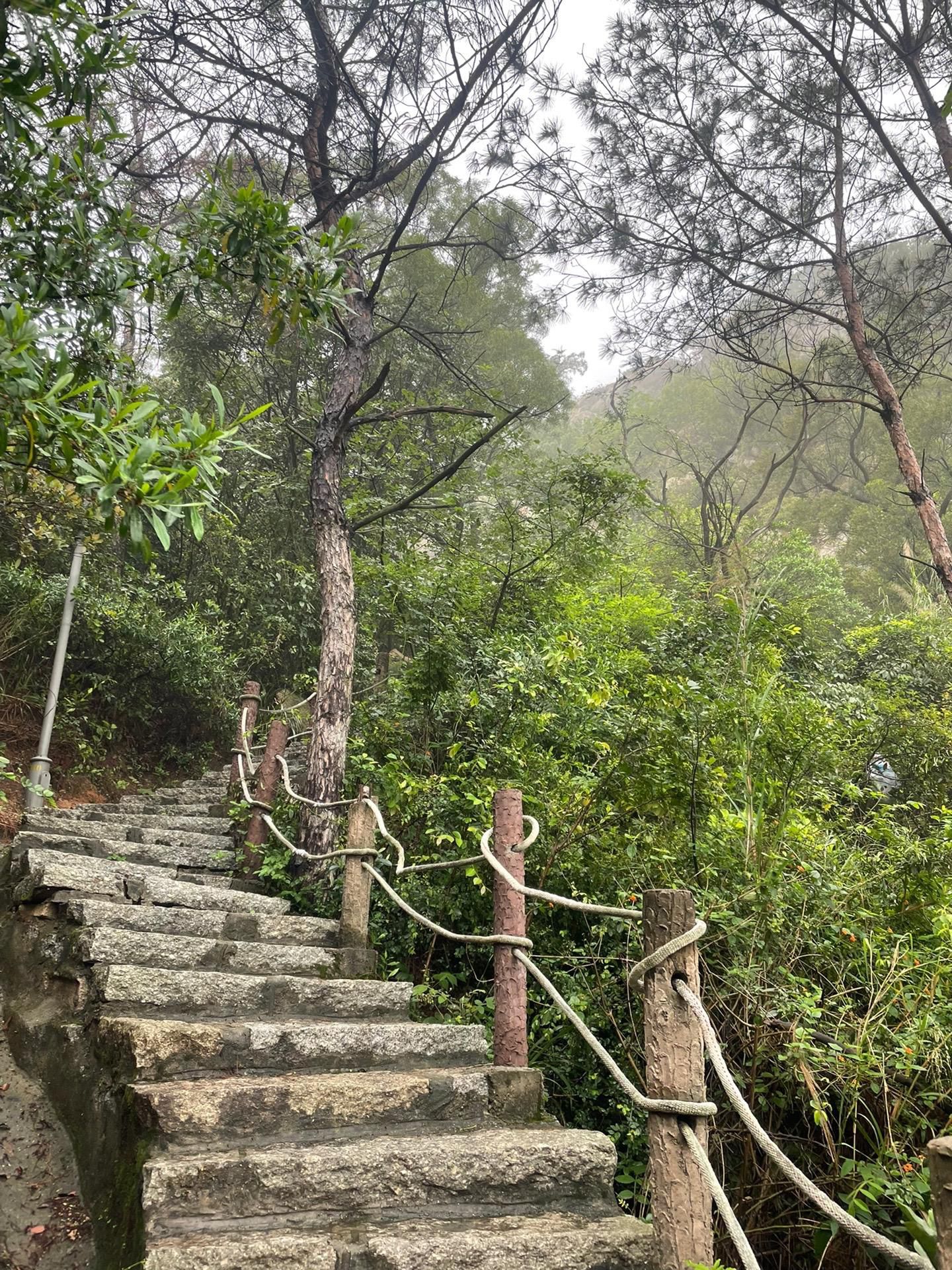 罗裳山生态公园旅行图片 3