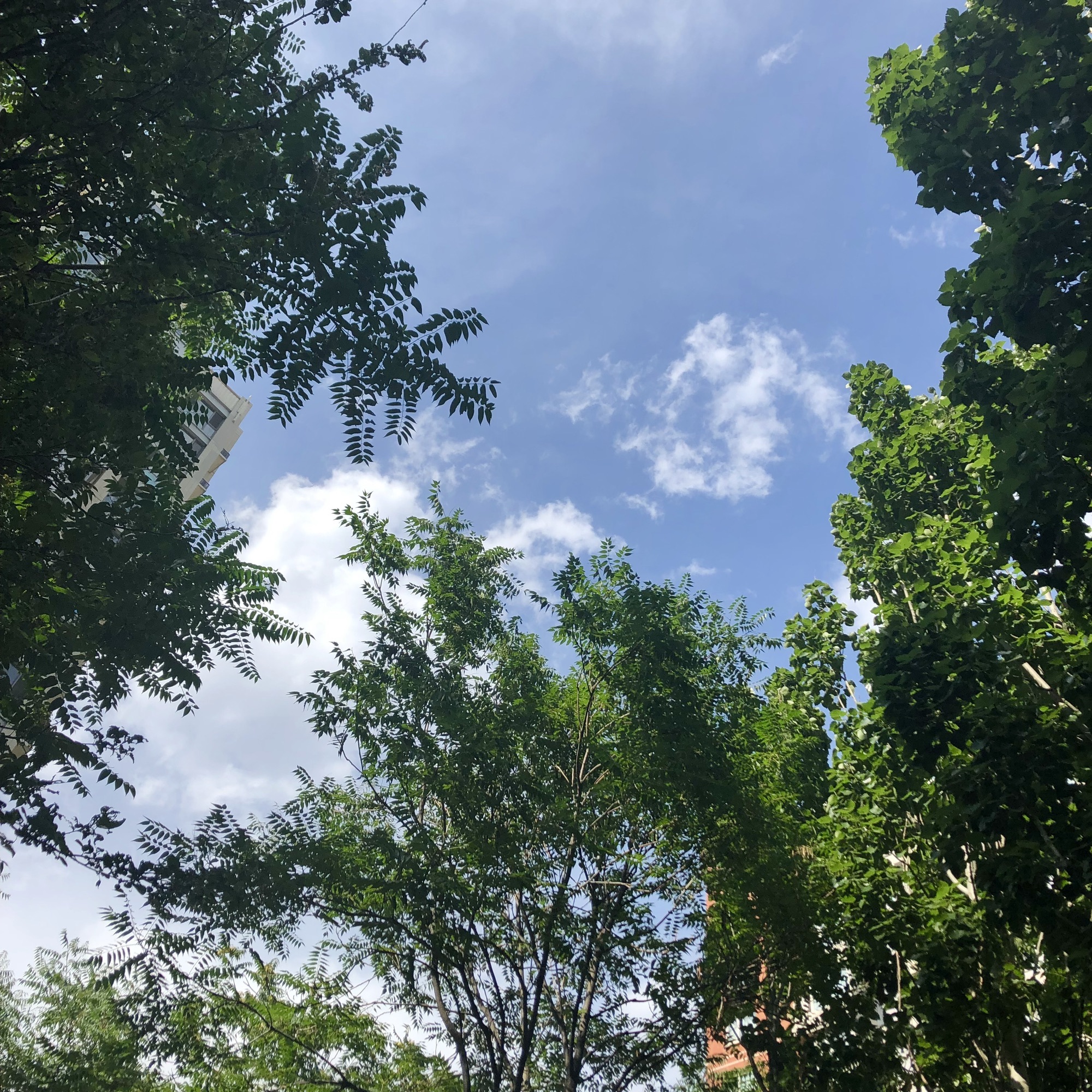 三河市文化中心广场旅行图片 3