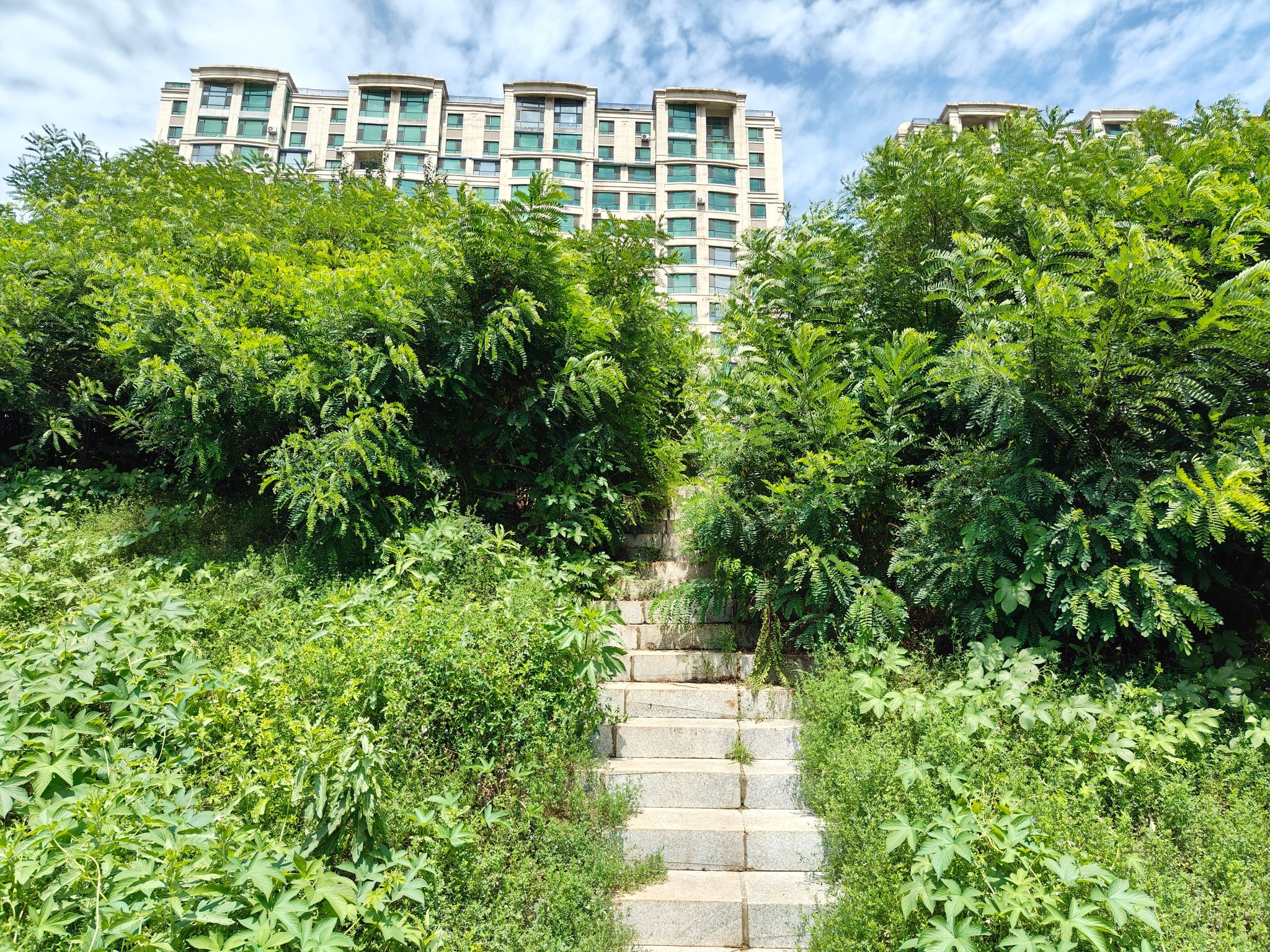 香堤美湾公园旅行图片 2