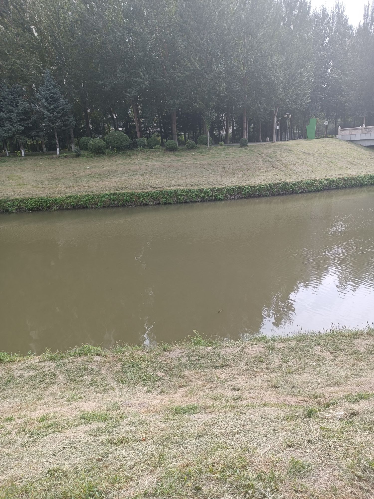 香堤美湾公园旅行图片 3