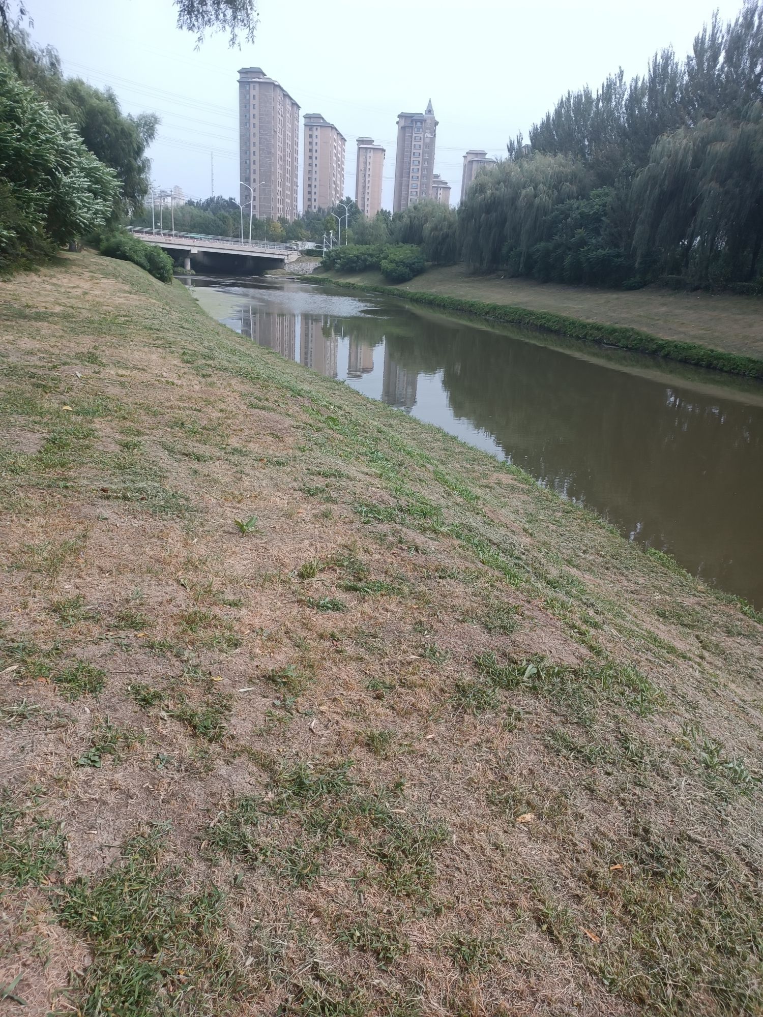 香堤美湾公园旅行图片 1