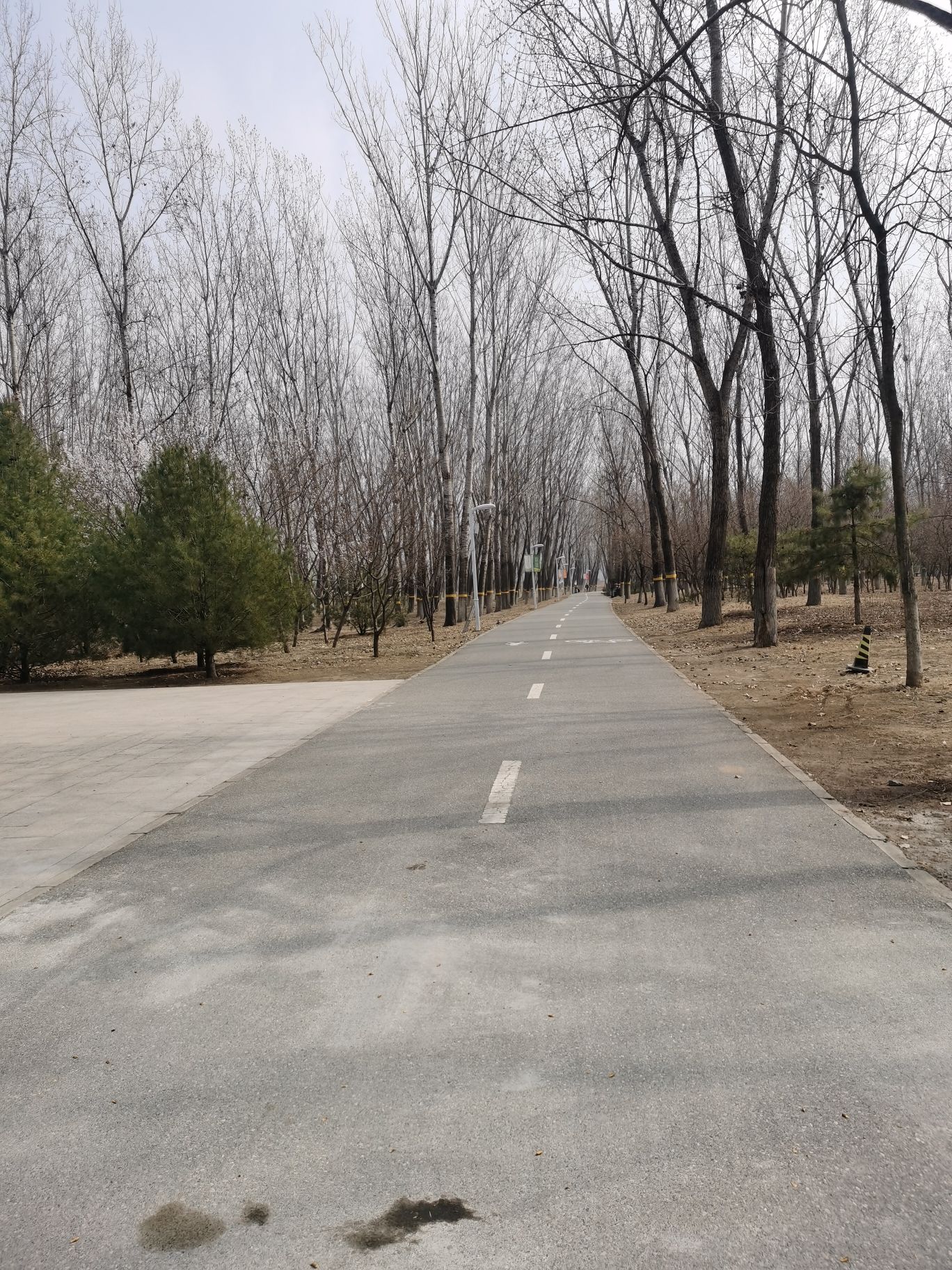 顺义新城滨河森林公园旅行图片 2