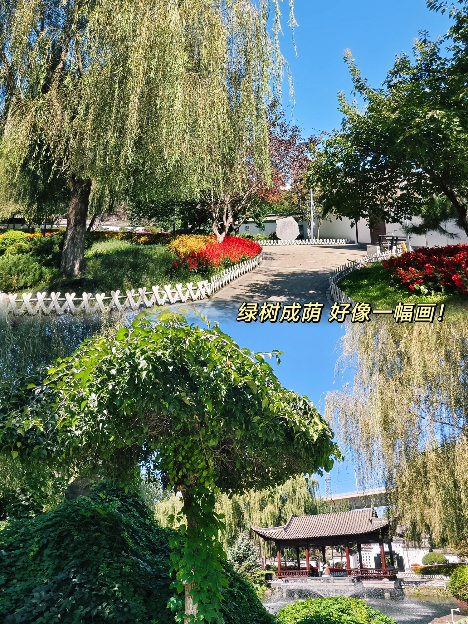 河东园旅行图片 2