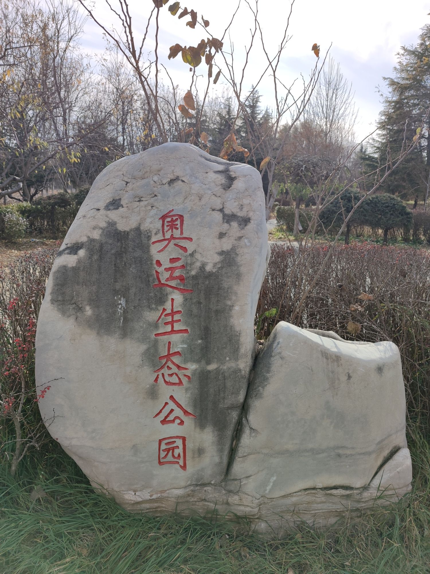 奥运生态公园