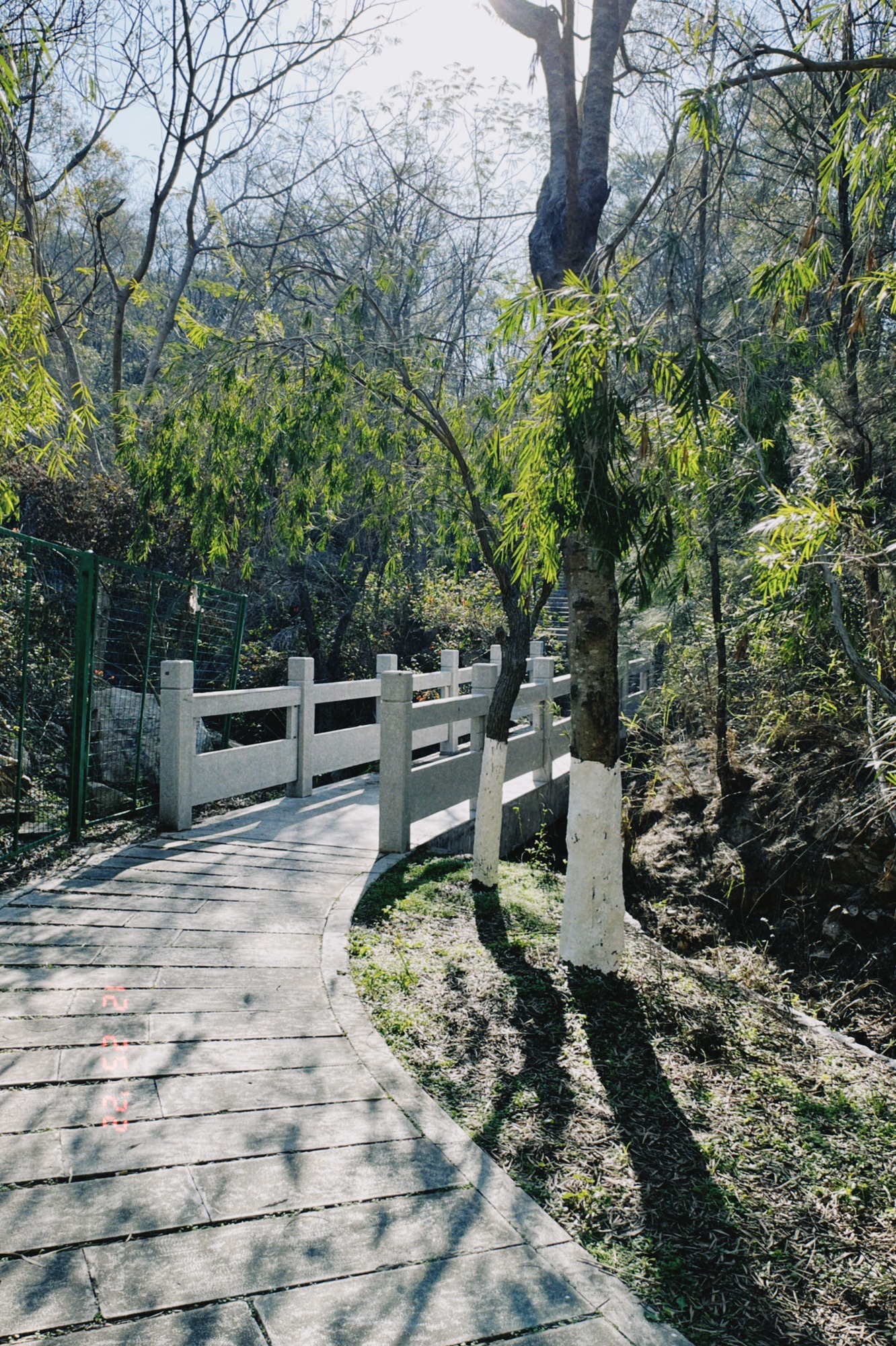 桃花山公园旅行图片 1