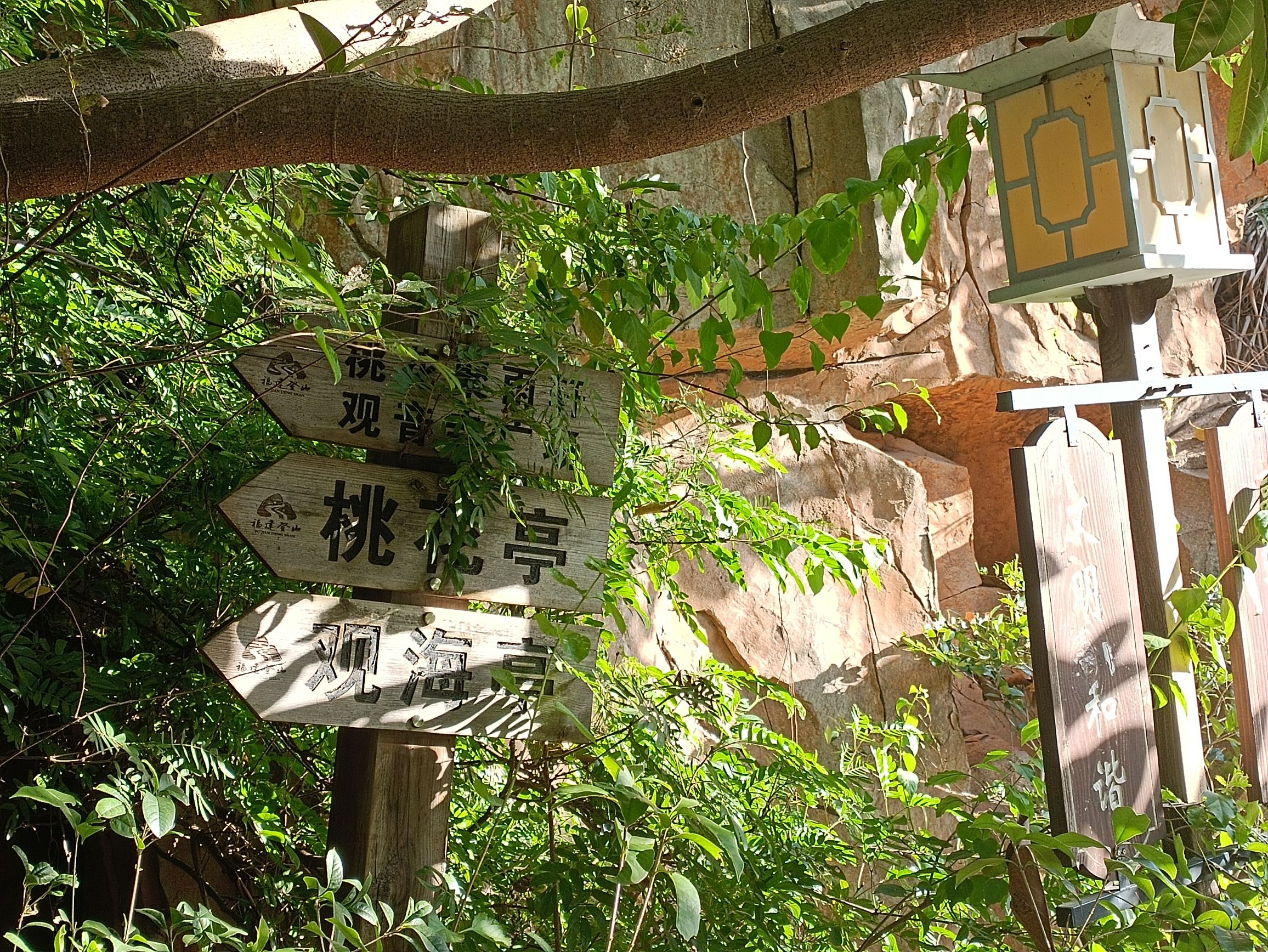 桃花山公园旅行图片 1